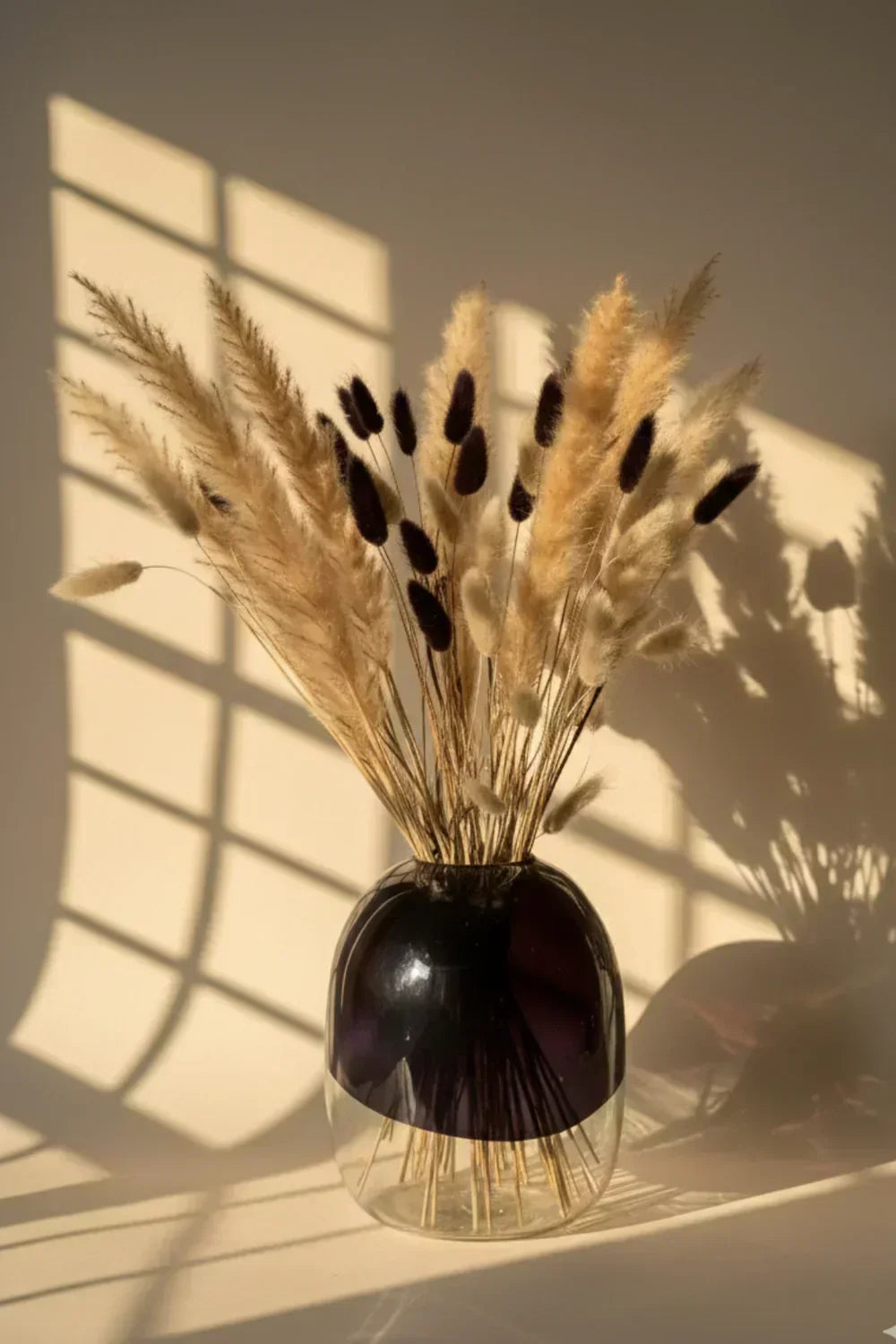 The Ultimate Guide to Pampas Grass: Types, Decor Ideas, Drying Methods & How Long It Lasts