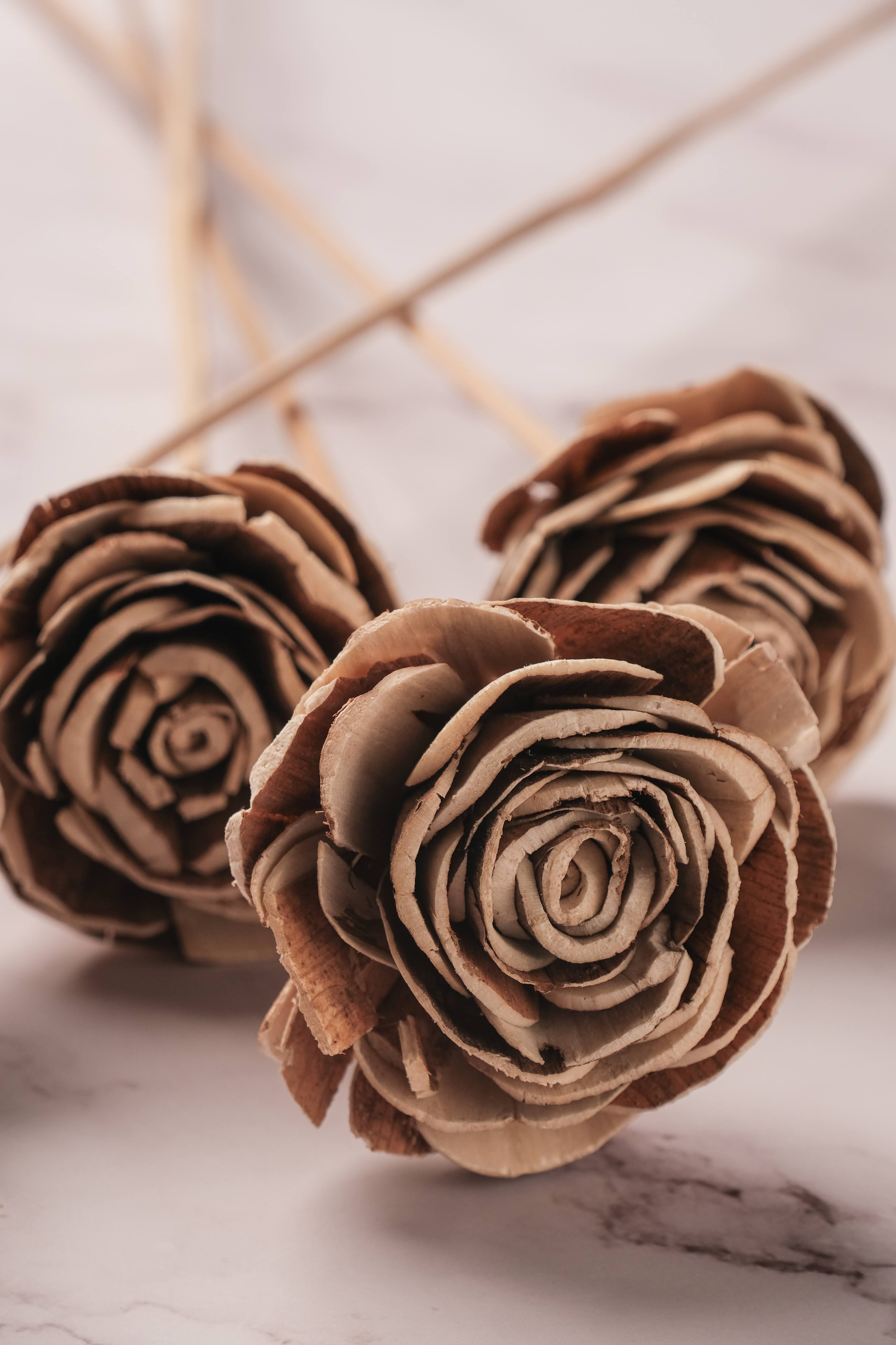Discover Shola Flowers: The Sustainable & Handcrafted Alternative to Artificial Flowers