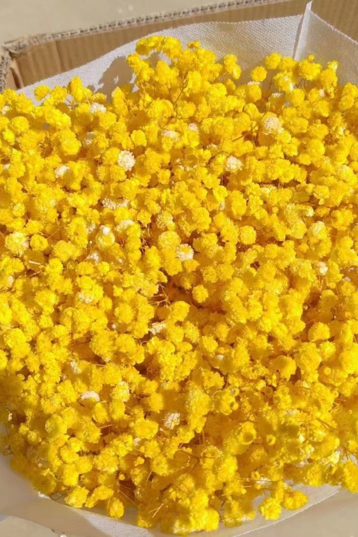 Yellow Baby's Breath Bunch