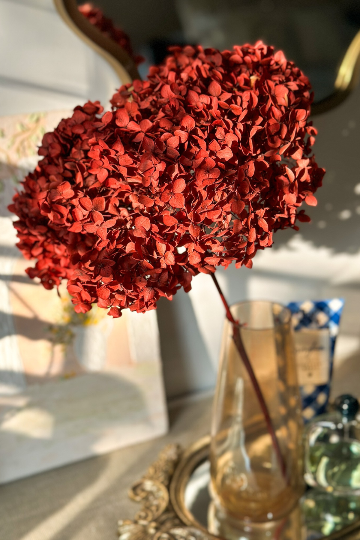 Preserved Hydrangea Red