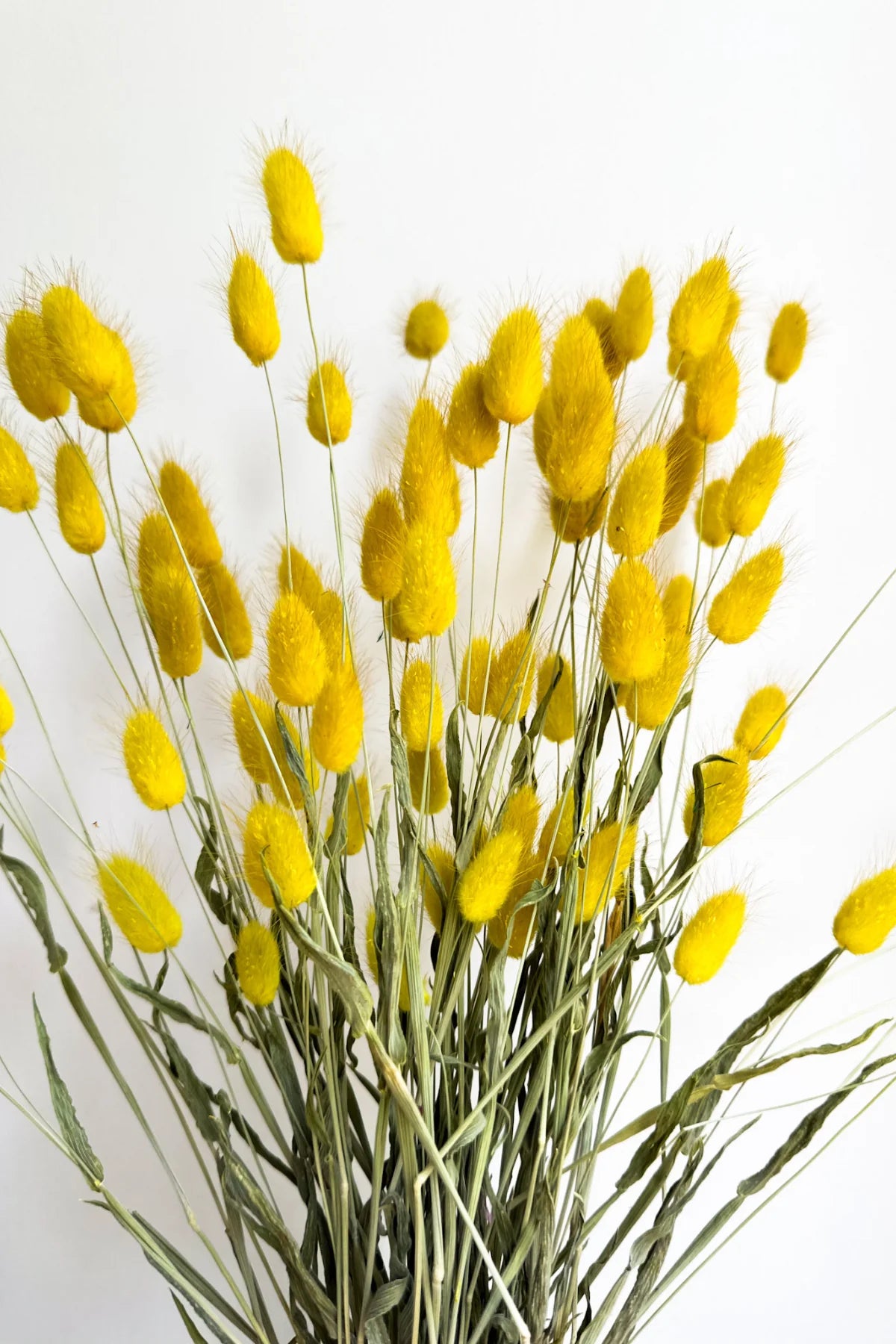 Natural Bunny Tails Bunch