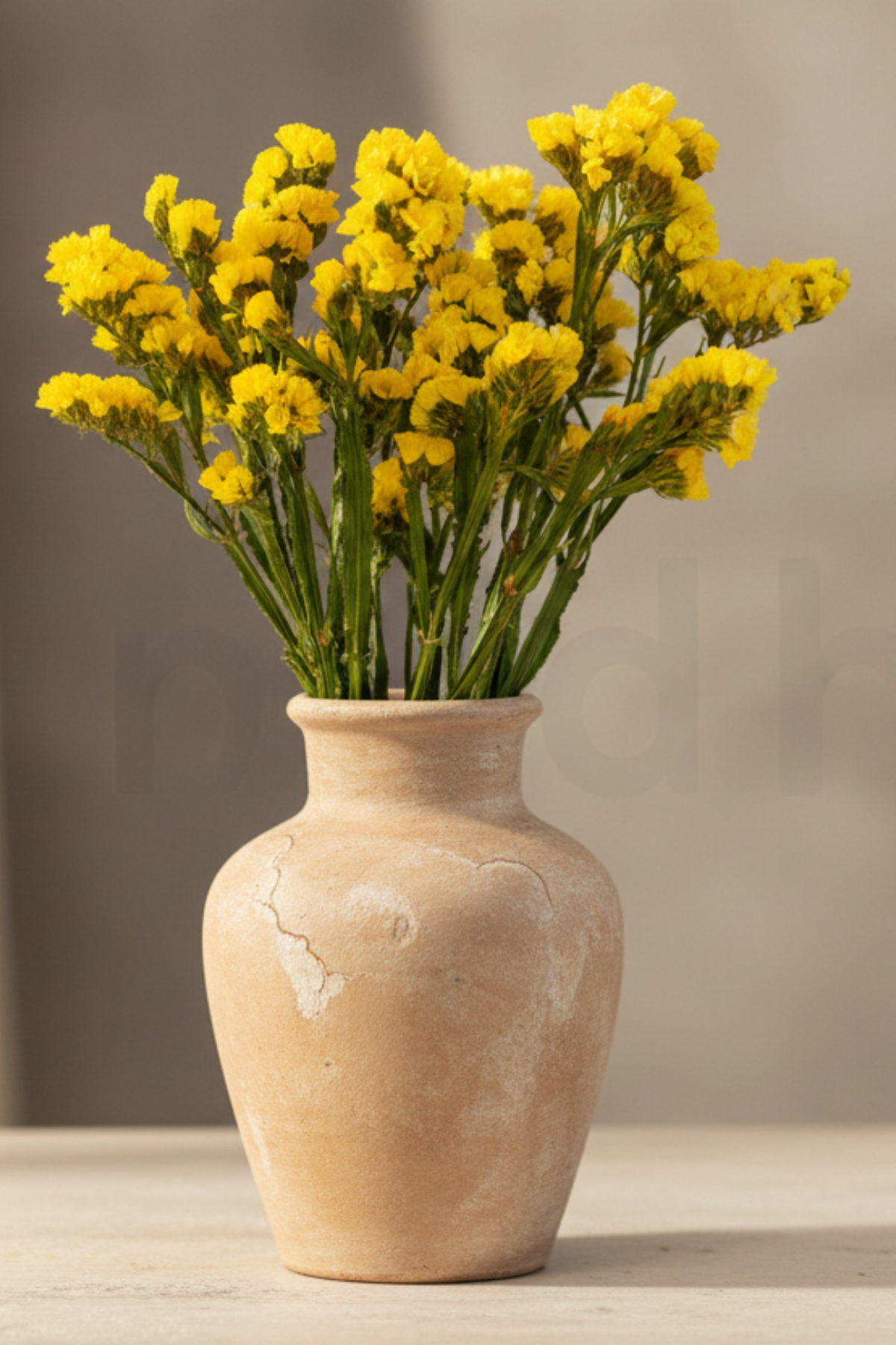 Yellow Statice (preserved)