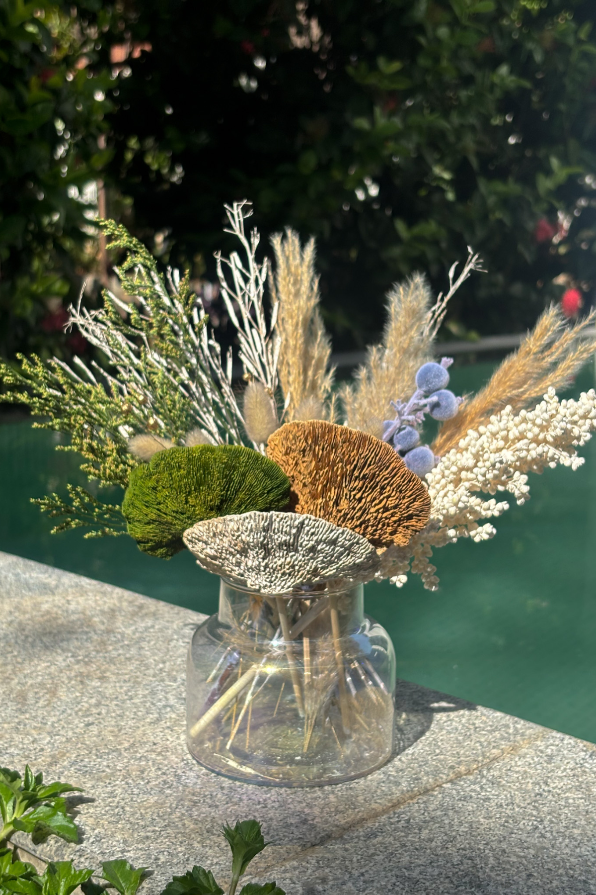 Ocean Bloom Dried Flower Set