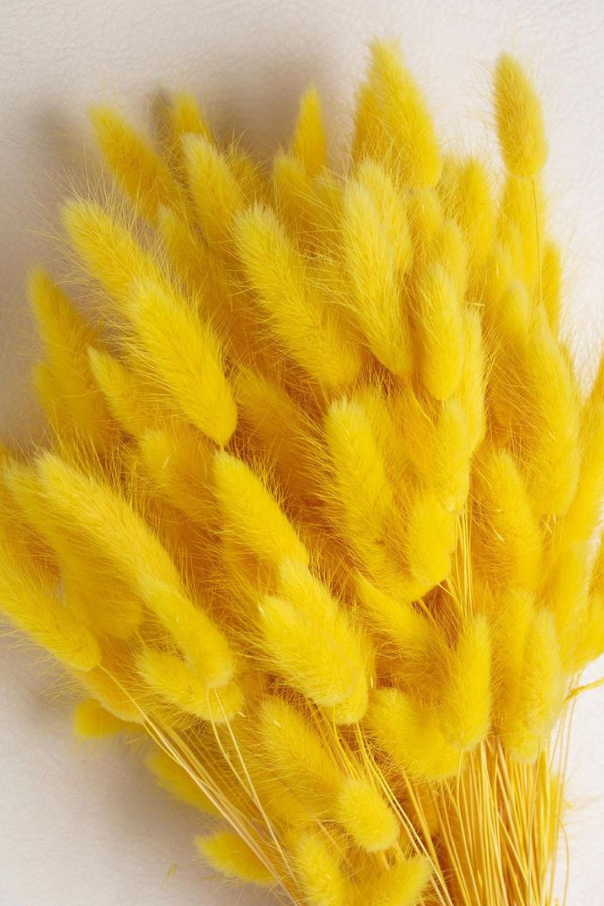 Yellow Bunny Tails Bunch