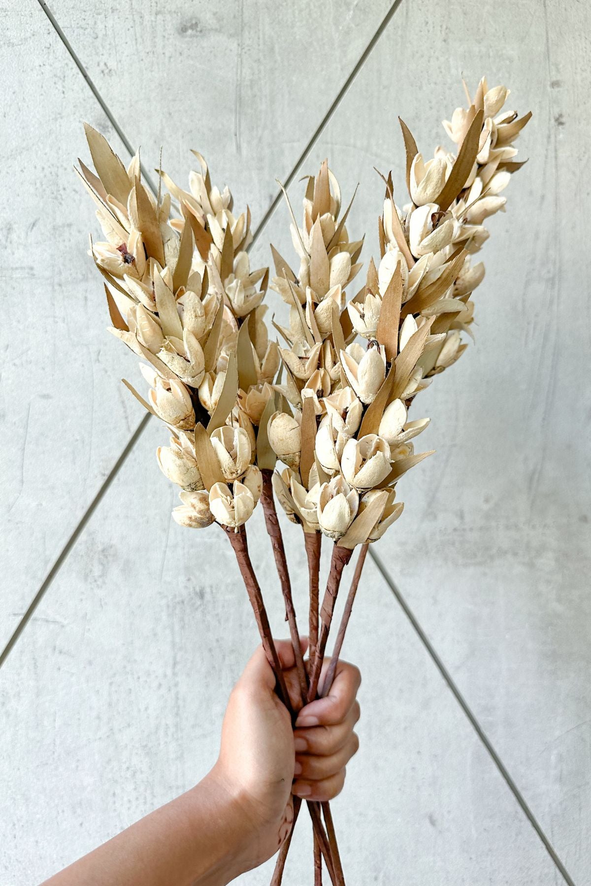 Bakuli Flower Stem (Set of 5)