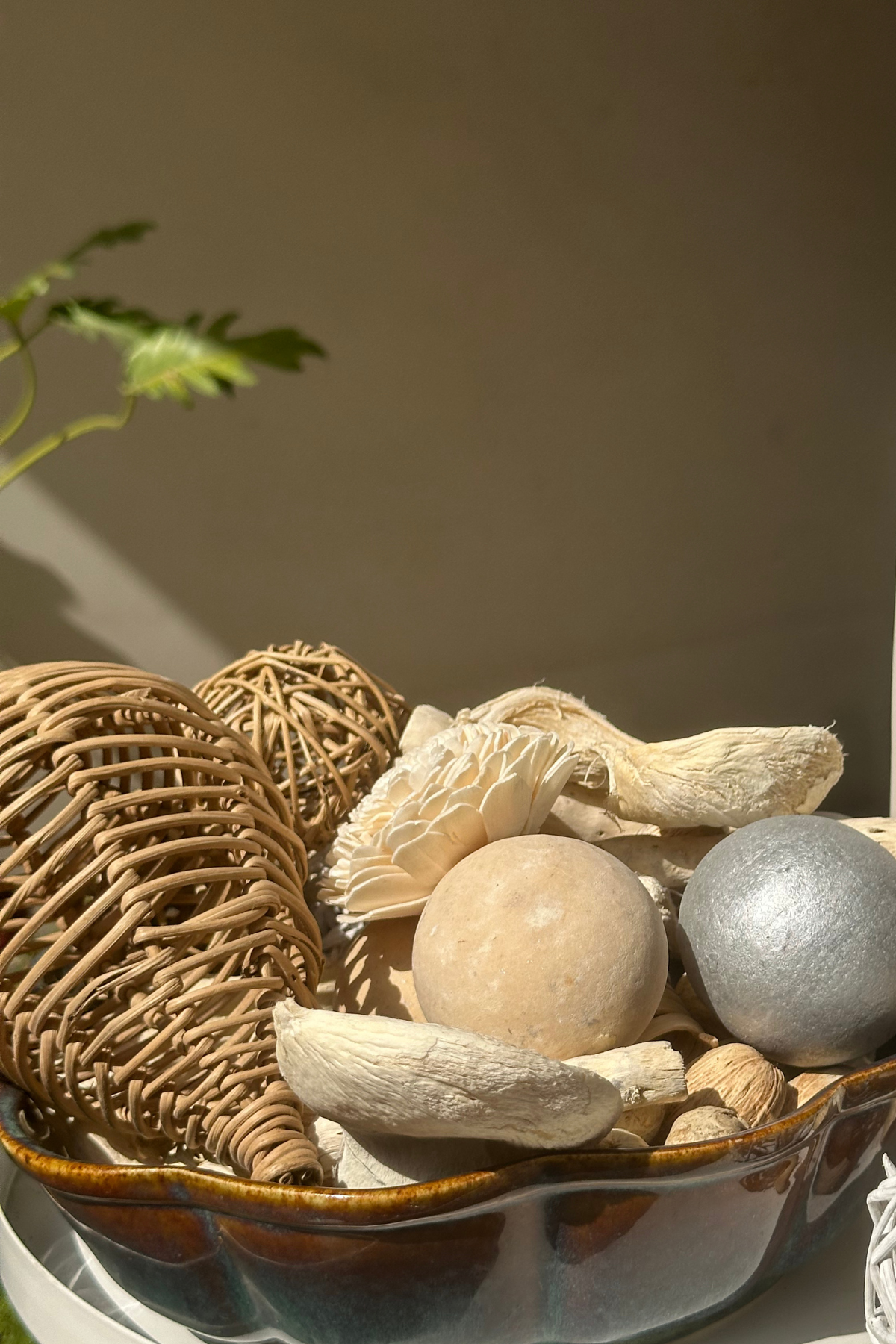Cashmere Oak Bowl Filler