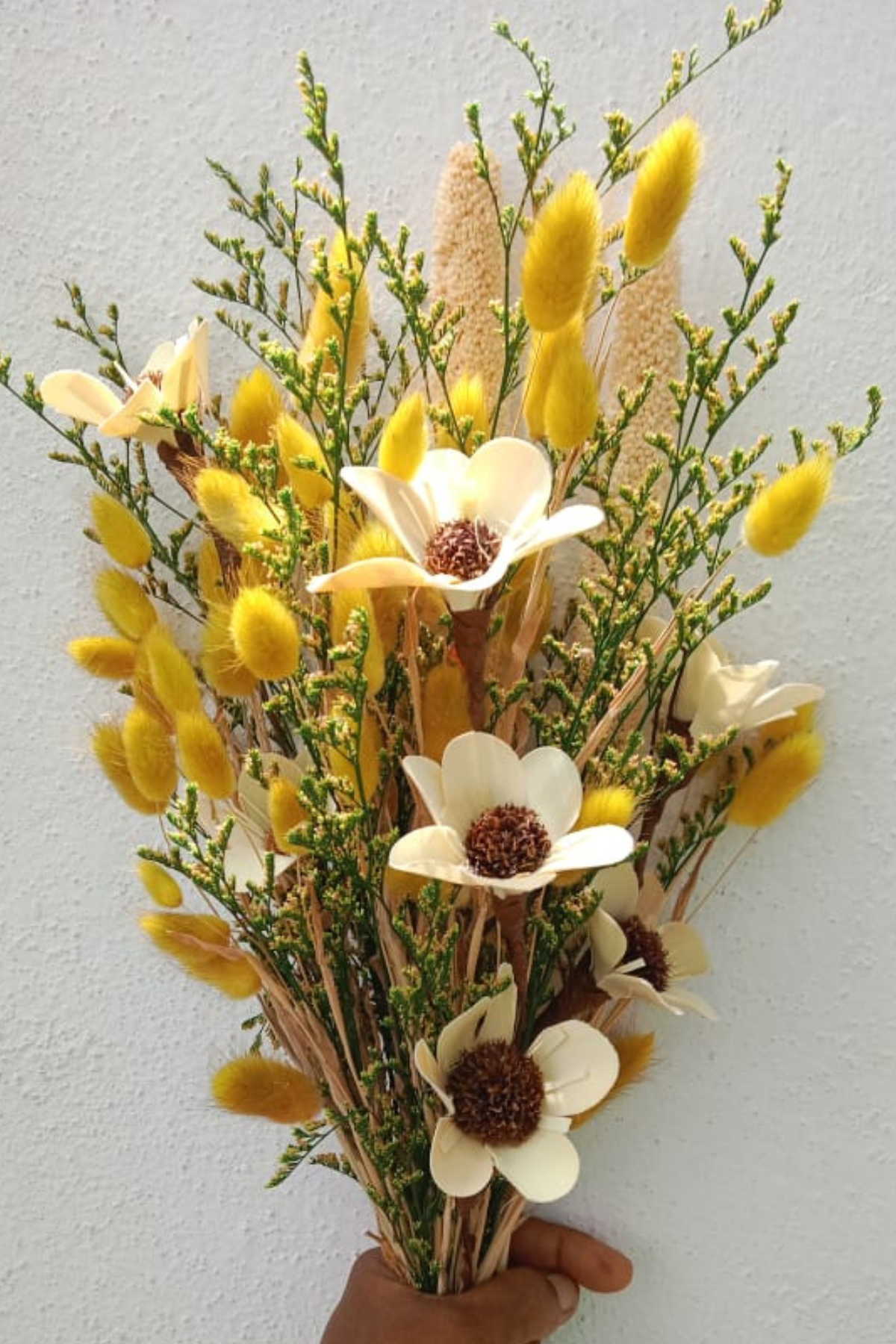 Vibrant dried flower bouquet featuring fluffy yellow bunny tail grass, white sola wood flowers with brown centers, and green preserved foliage, arranged as natural home decor. Coastal botanical arrangement