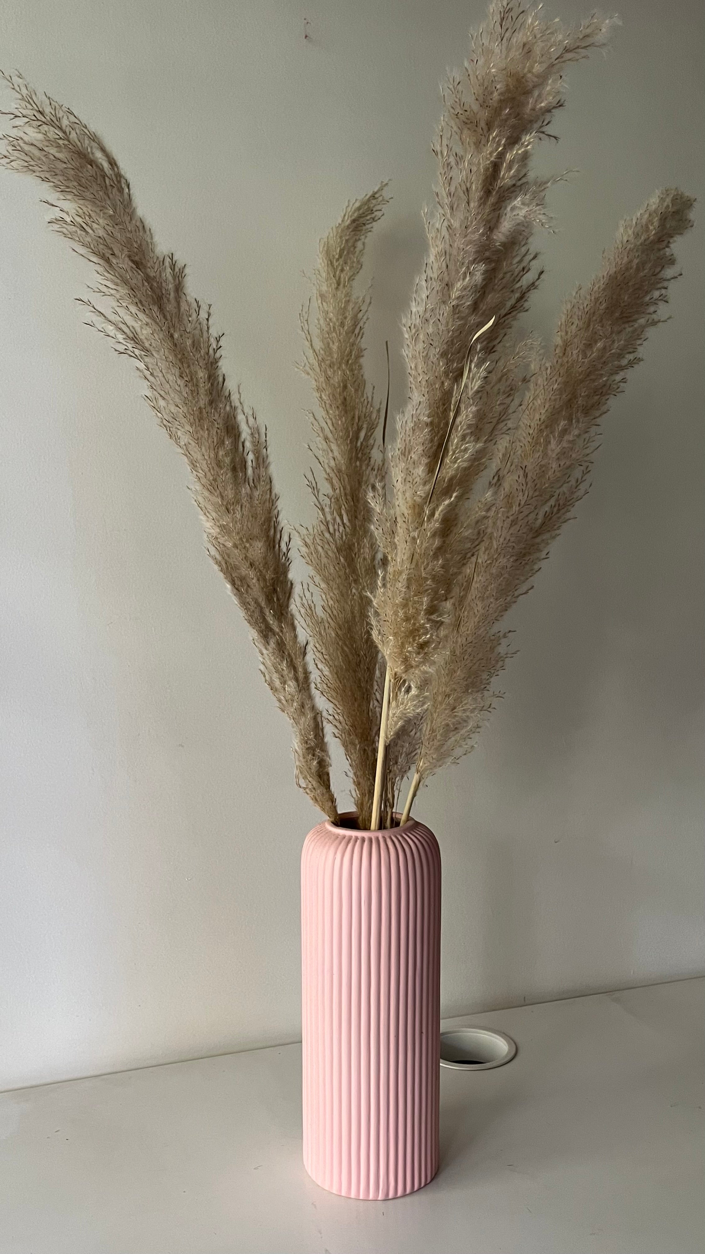 Natural pampas (set of 5)