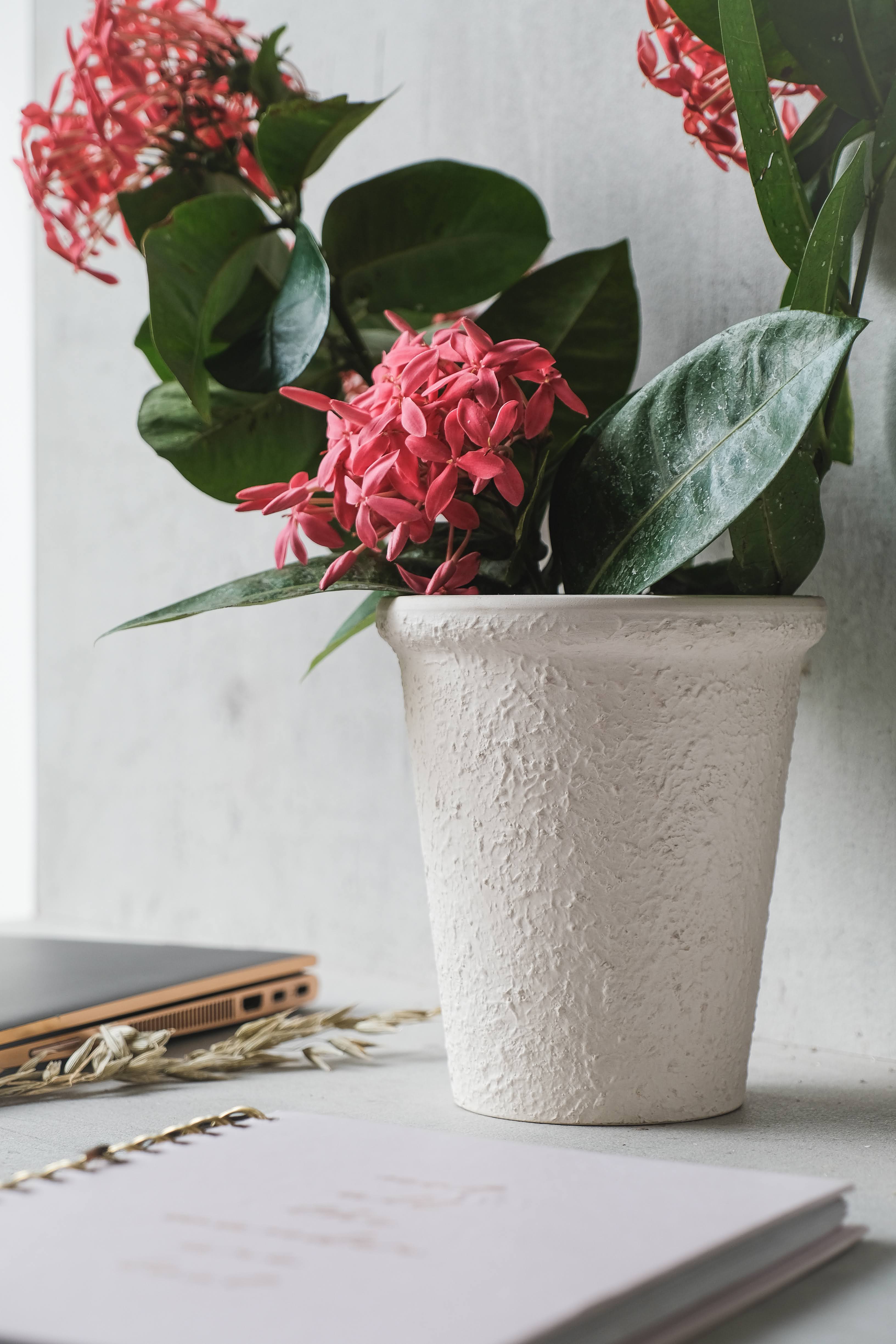 Popcorn Textured White Vase