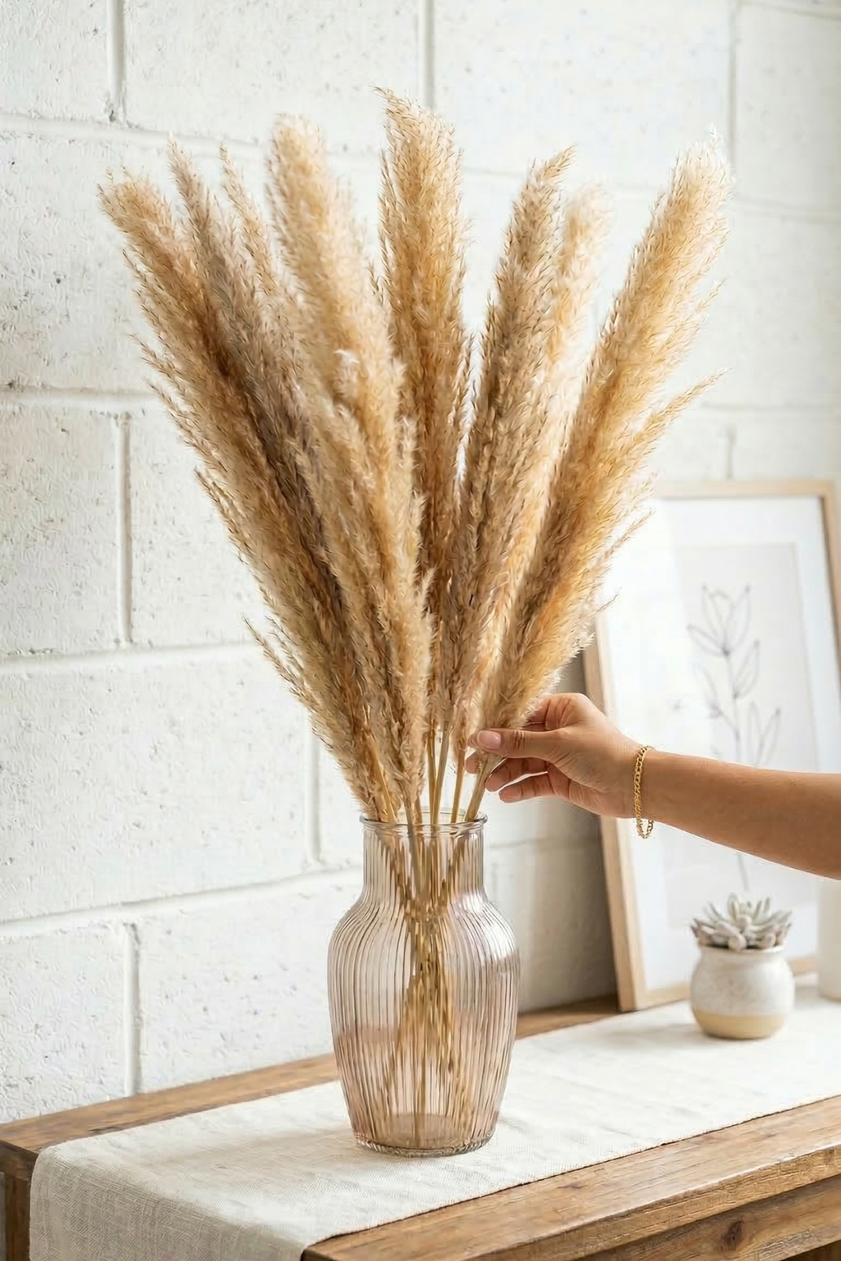 Natural pampas (set of 5)