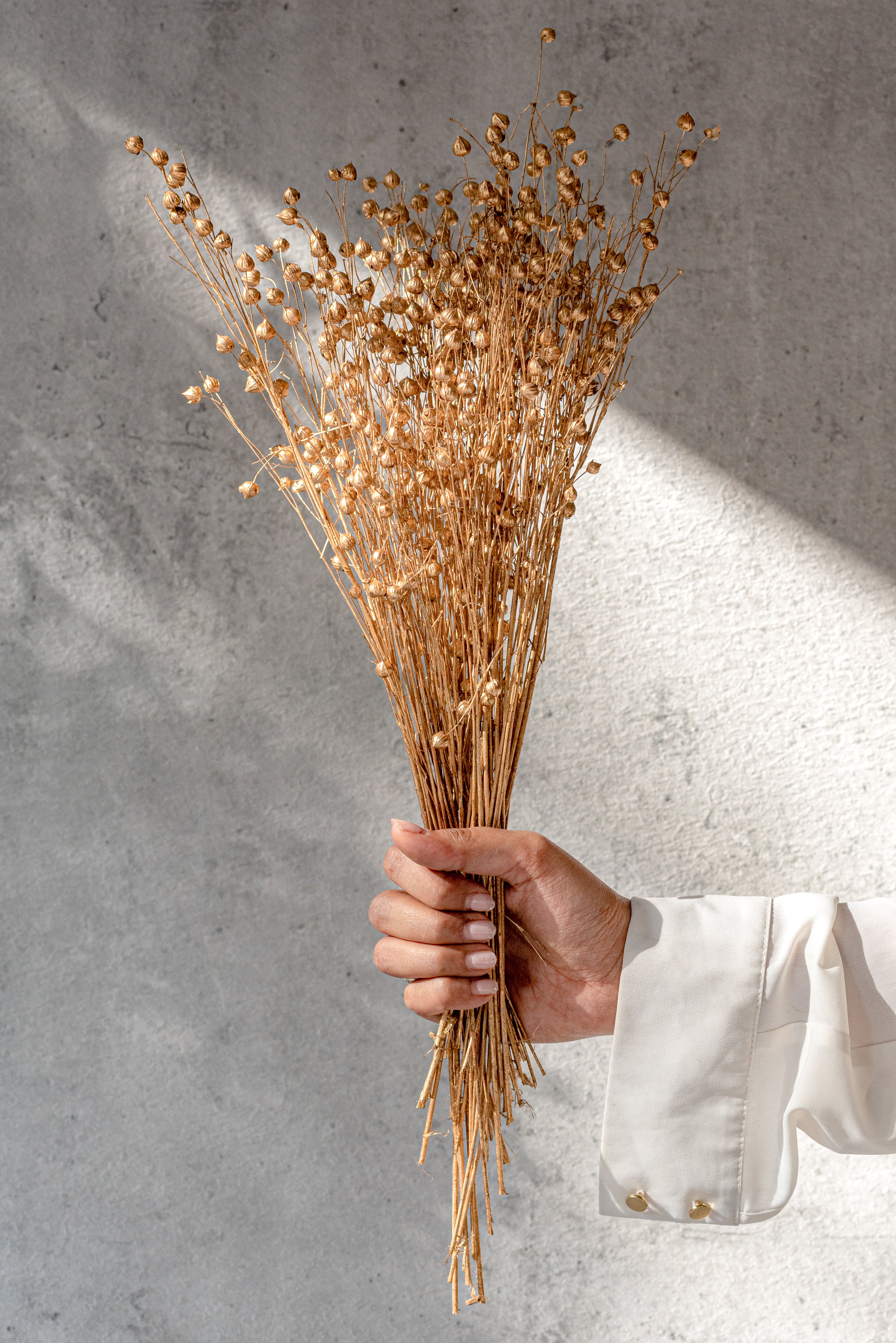 Lino Goldwashed Bunch (50Gms)