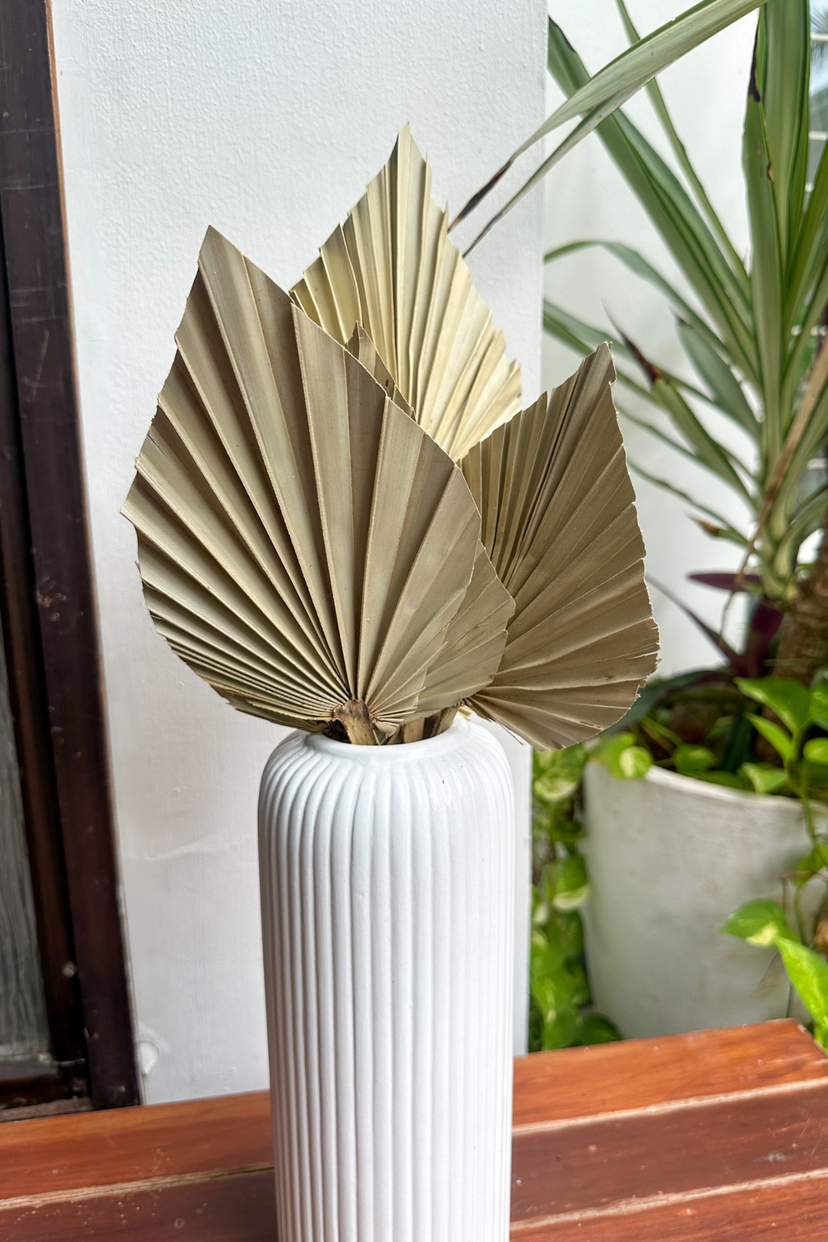 Palm spear Natural (set of 12)