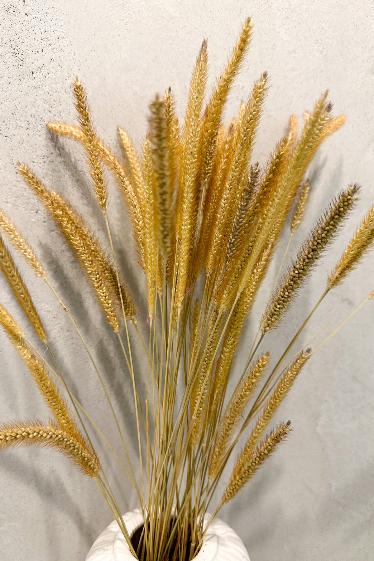 Caramel pampas (set of 50)