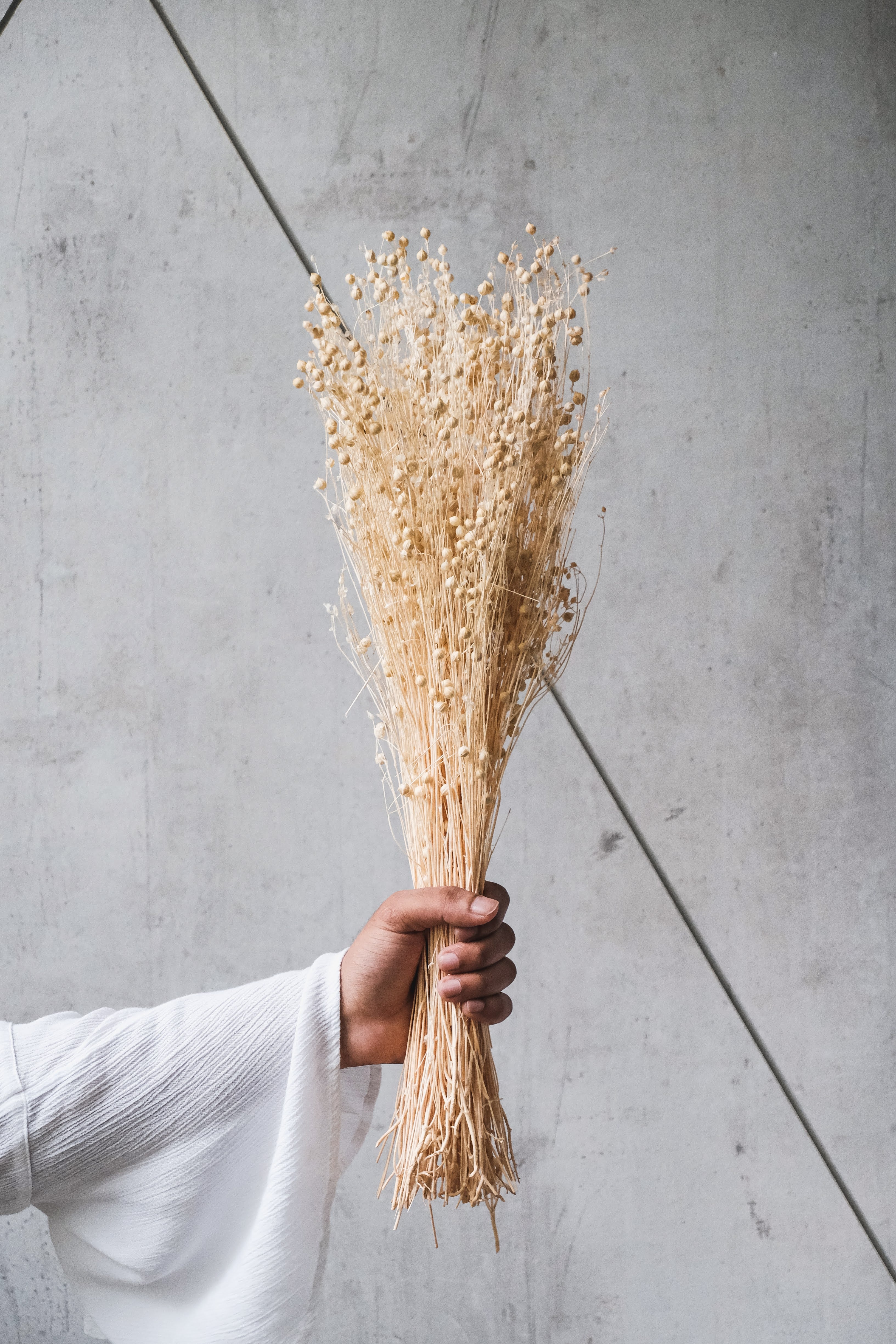 White Lino Bunch (50gms)