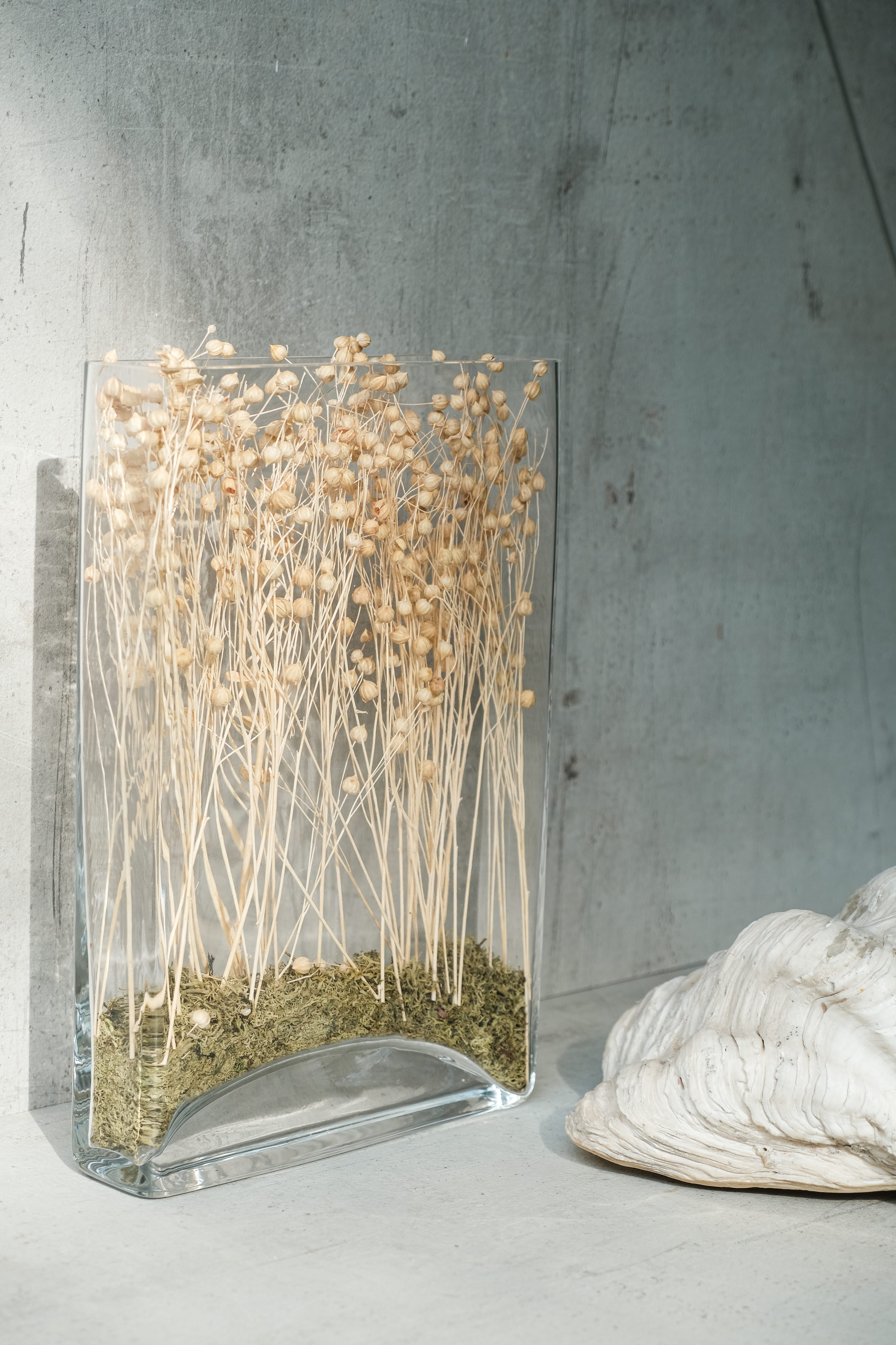 White Lino Bunch (50gms)