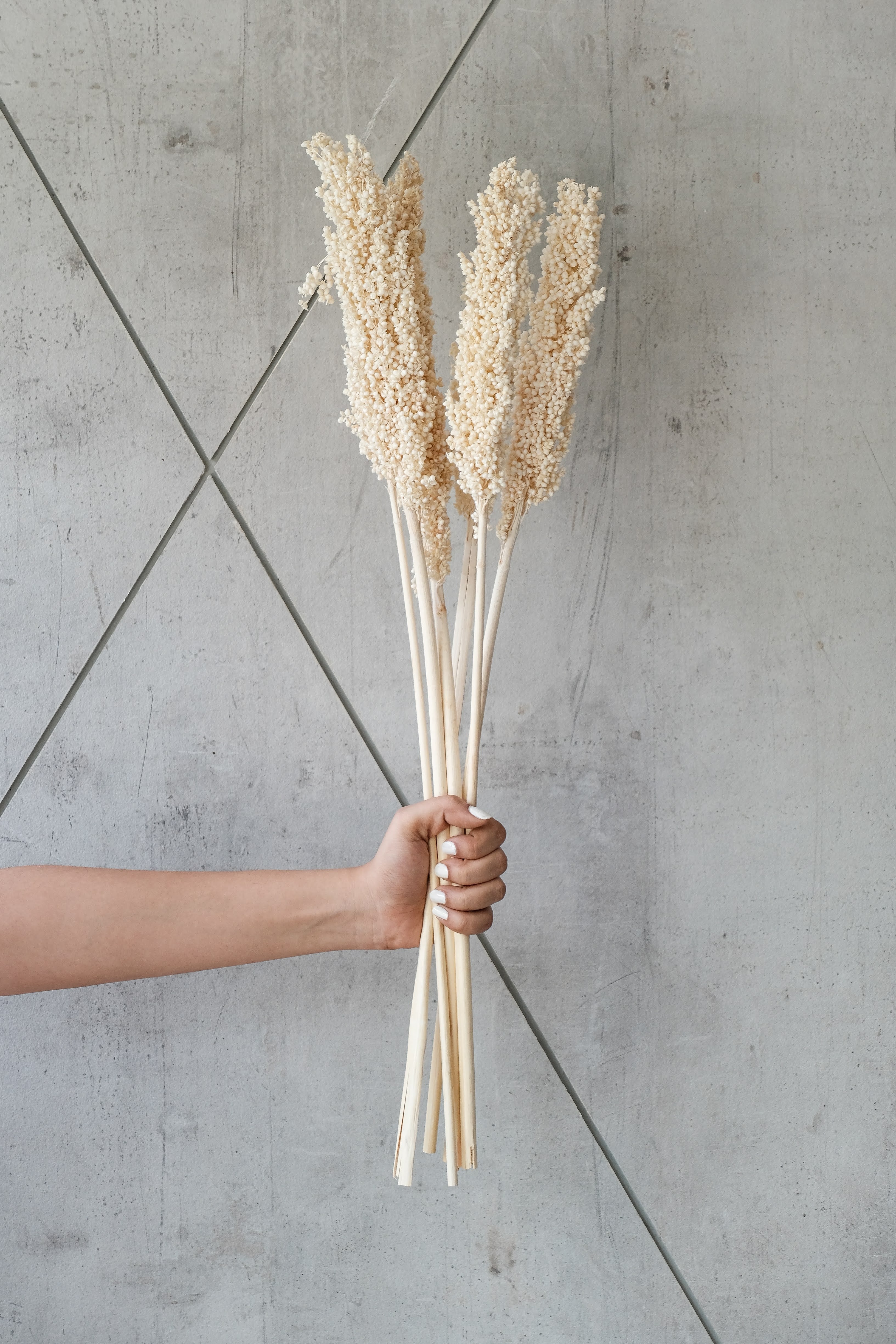 White Corn Stems (Set of 6)