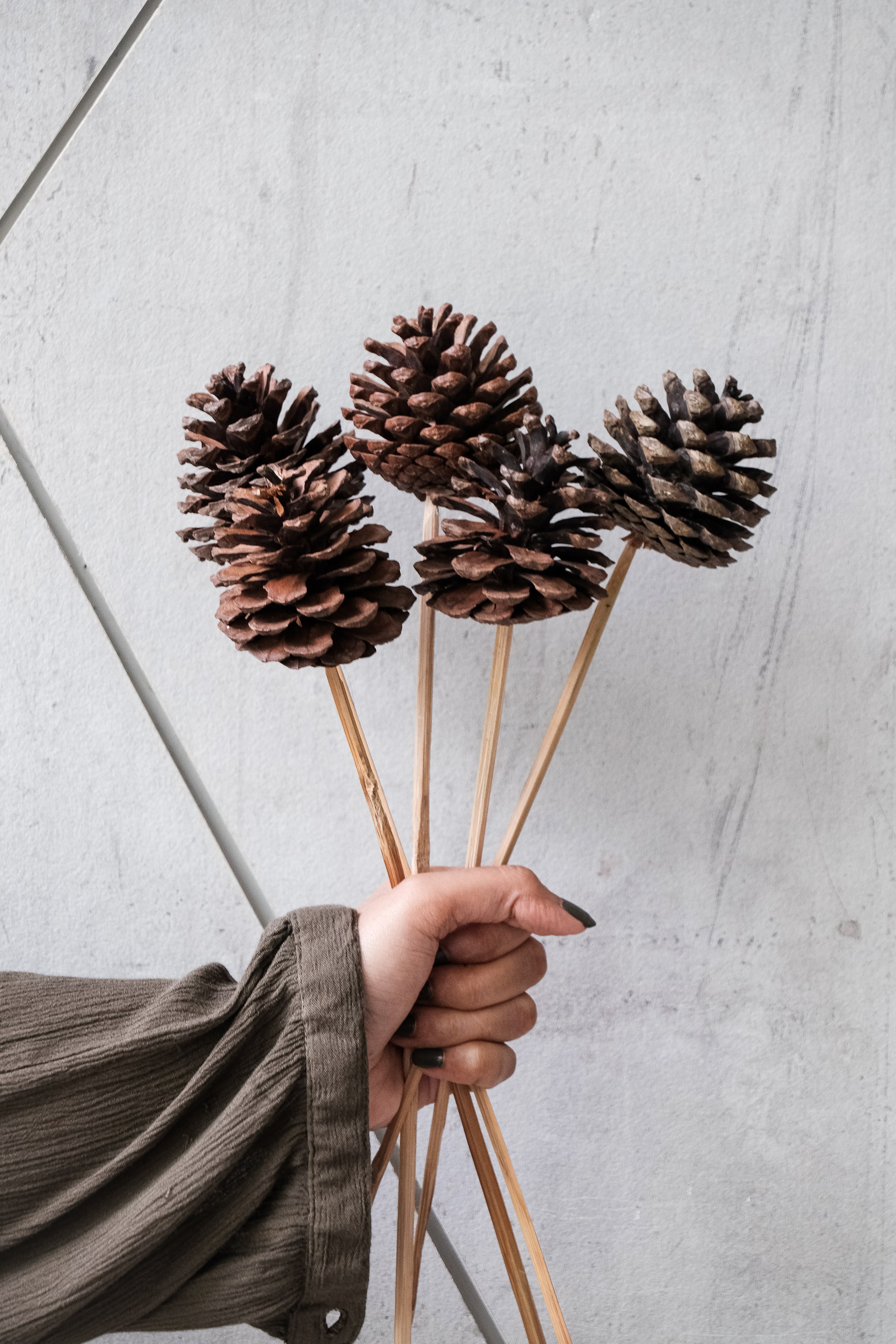 Pinecone Bundle (Set of 8)