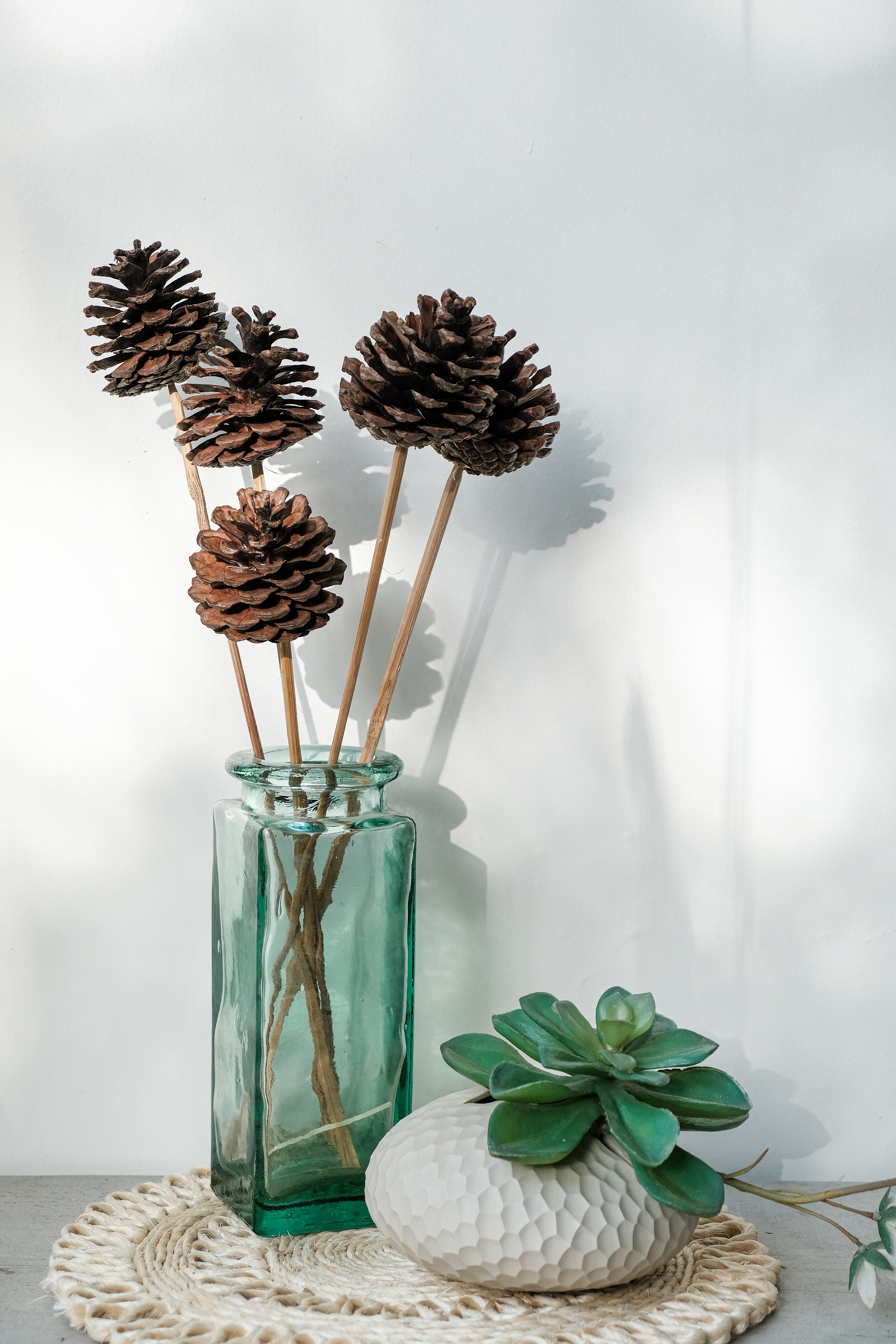 Pinecone natural (set of 6)
