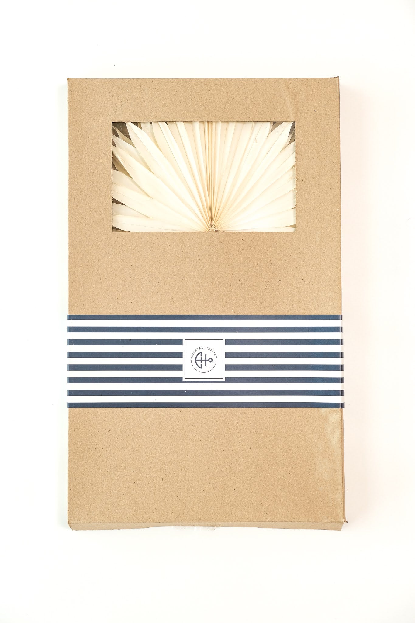 Sun Palm White (3 Stems)