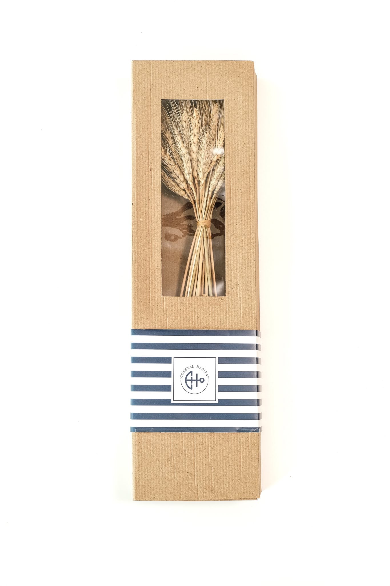 Wheat grass stems (50 gms bunch)