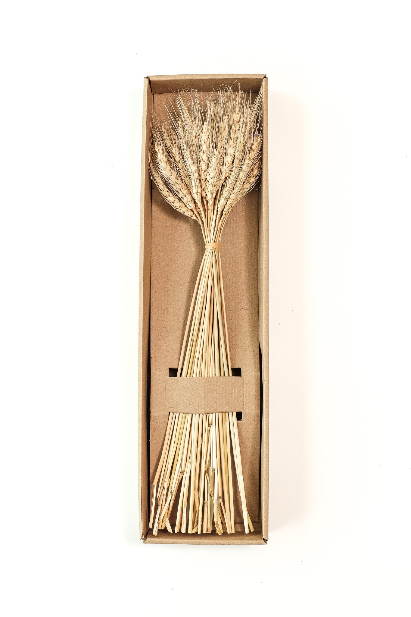 Wheat grass stems (50 gms bunch)