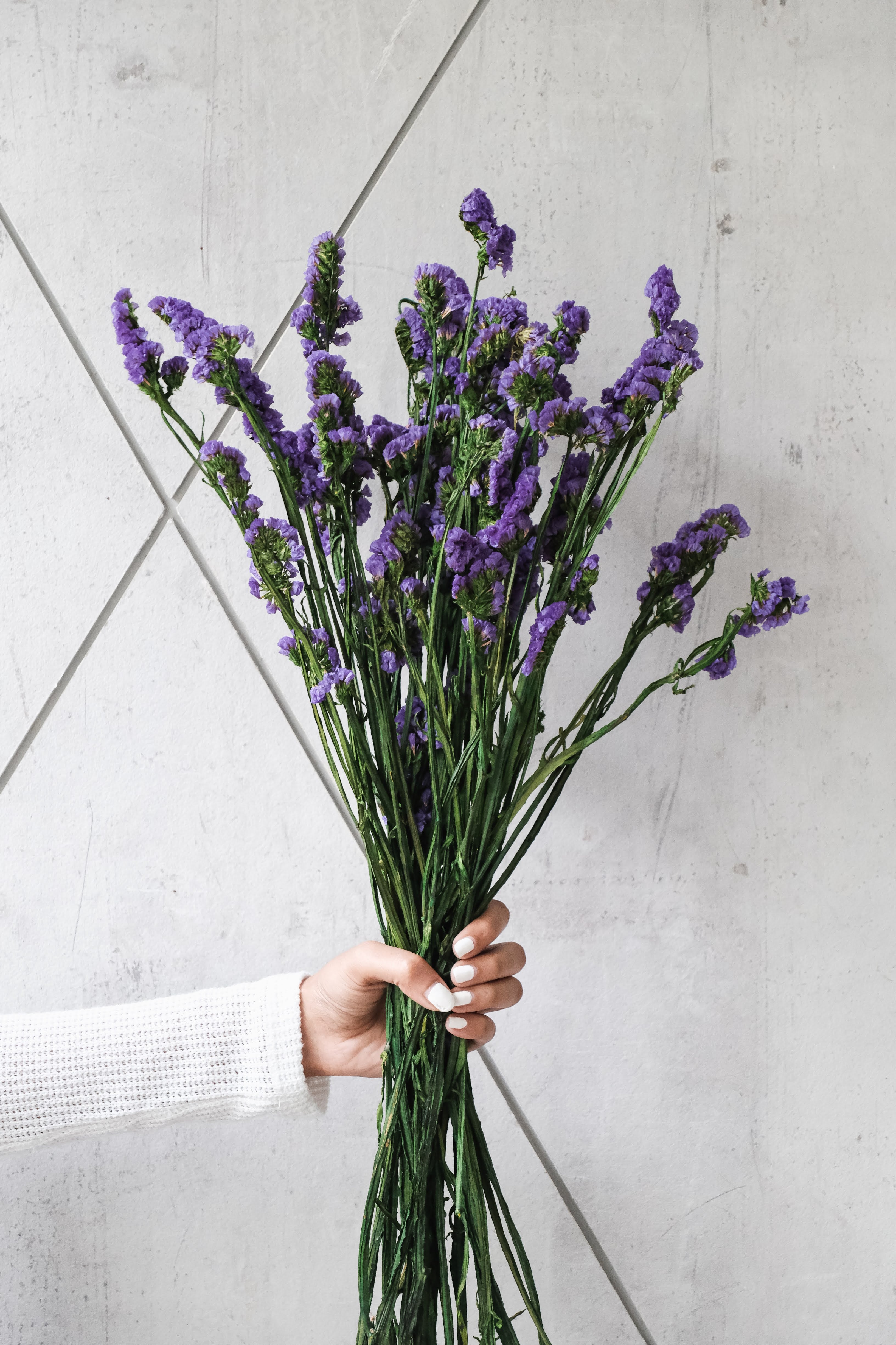 Purple Statice (preserved)