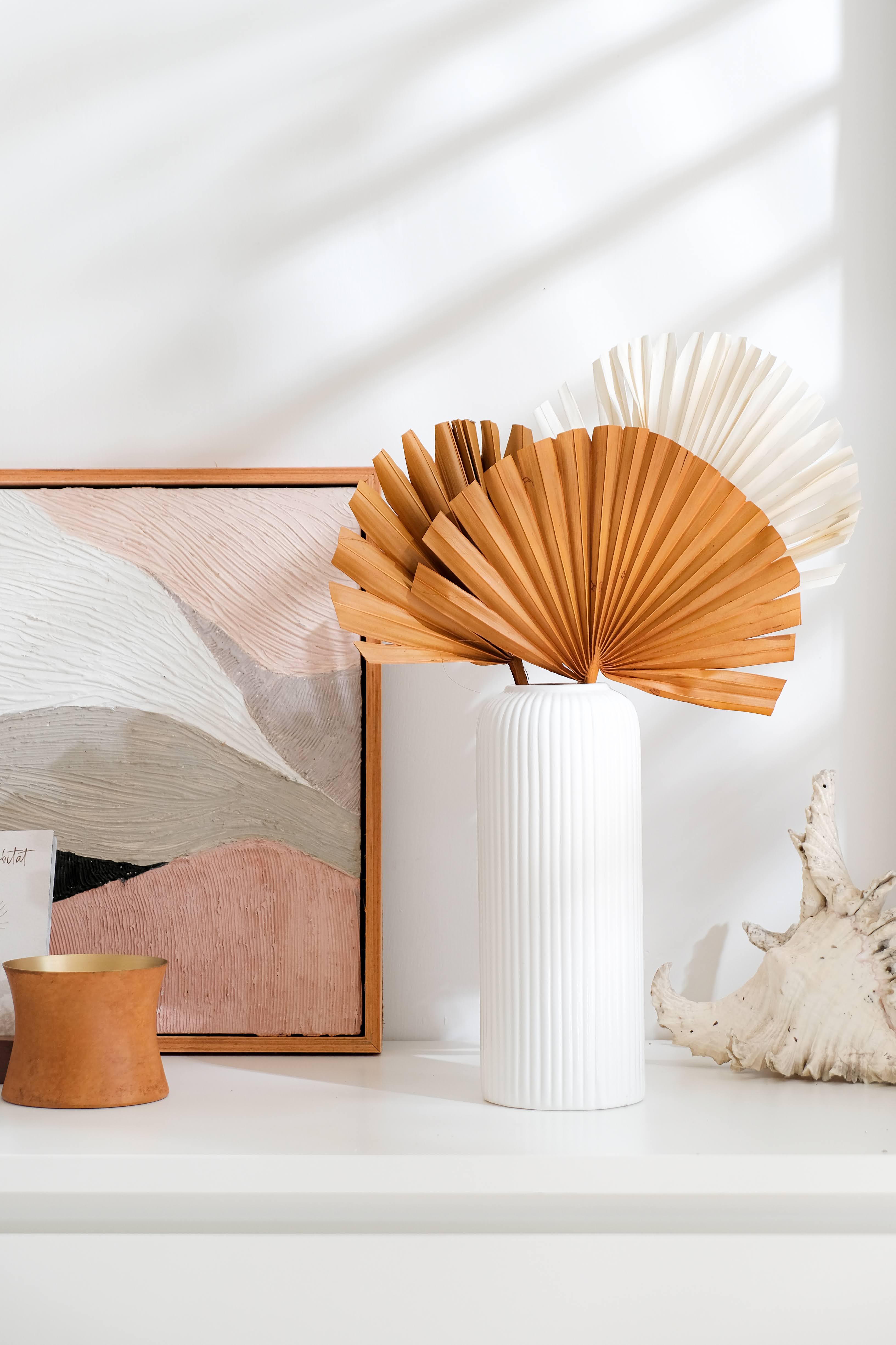 Mango Sun Palm combo (set of 3)