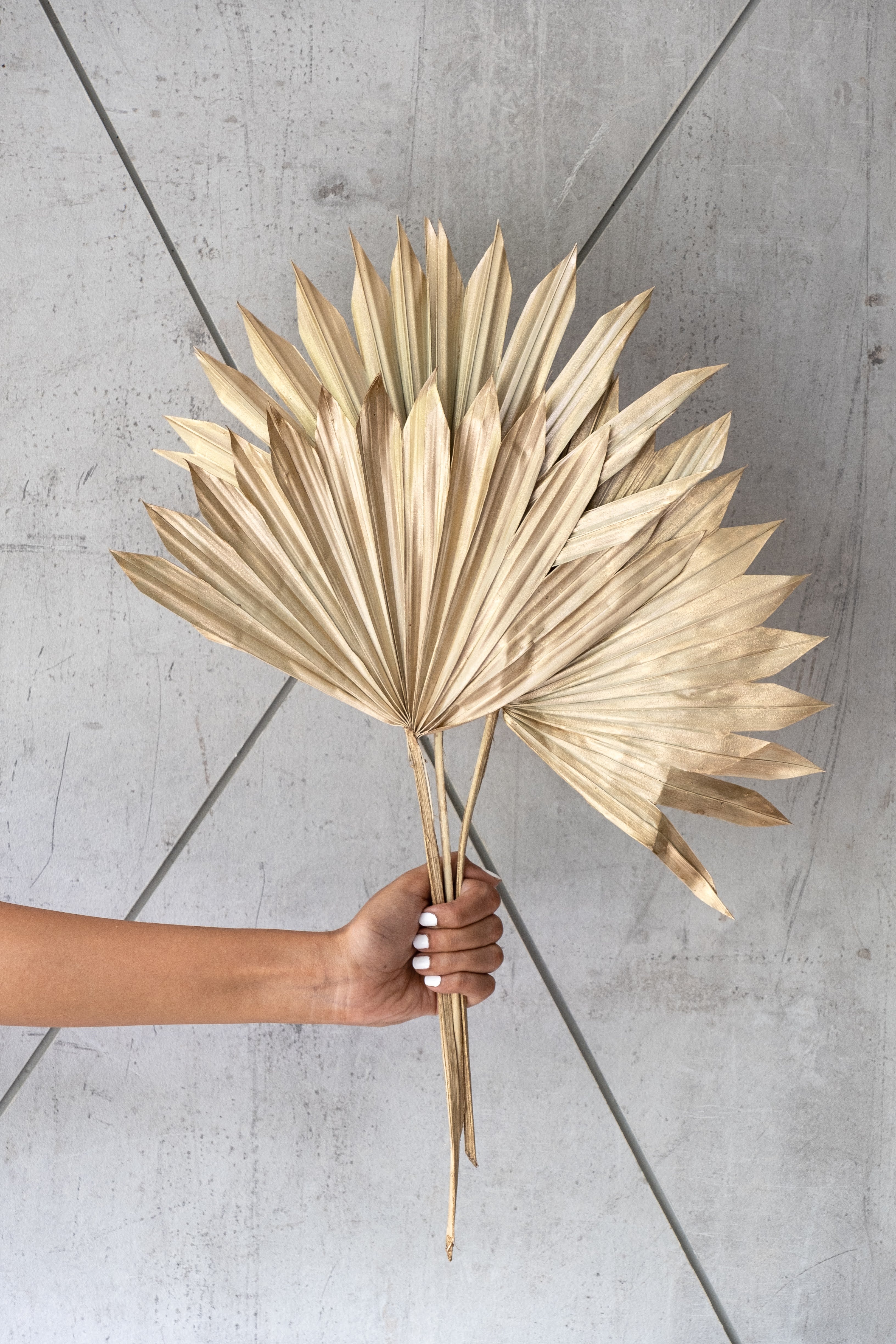 Sun Palm Leaves Gold (3 Stems)