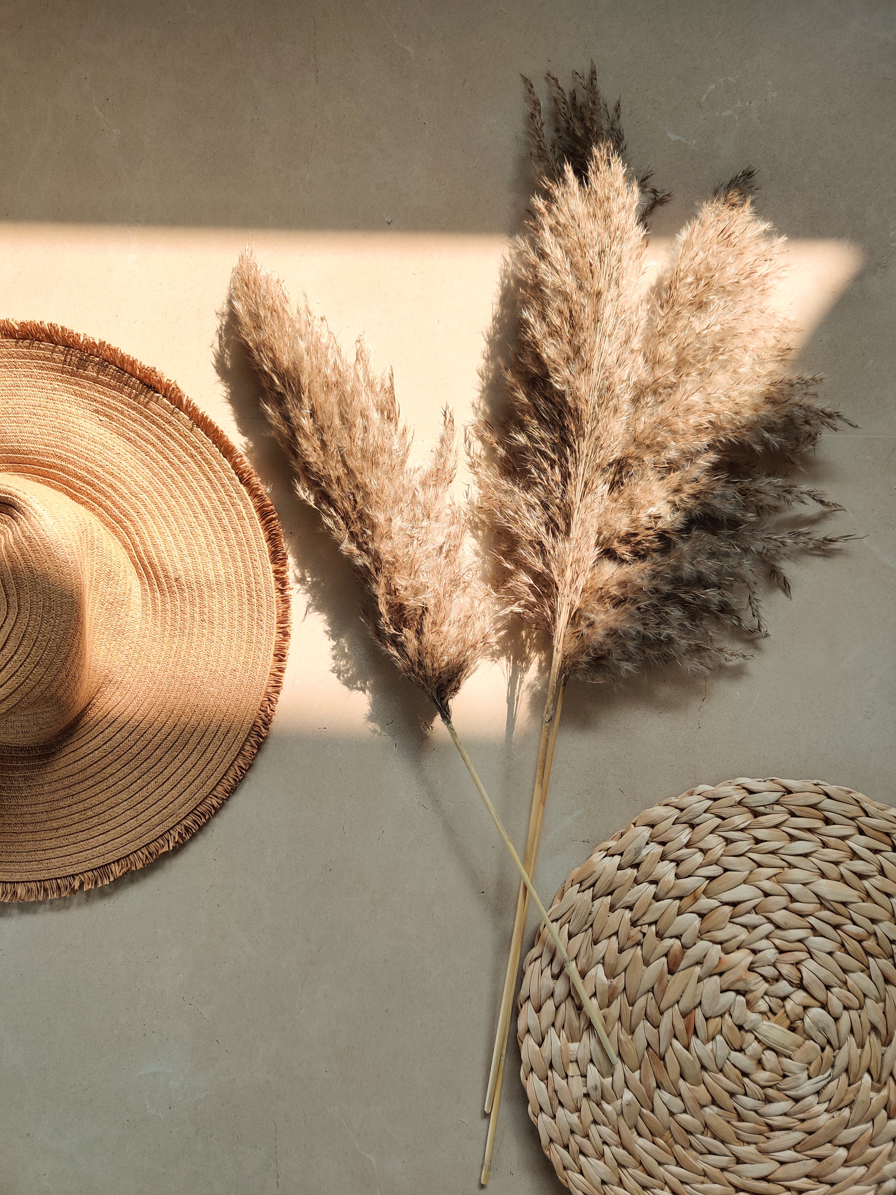 Beige Fluffy Pampas (Set of 10)