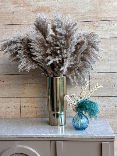 Natural vs. Artificial Pampas Grass: Which One Should You Choose?