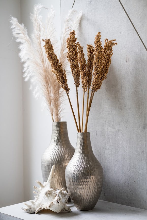 How to Choose the Right Dried Pampas Grass for Every Room