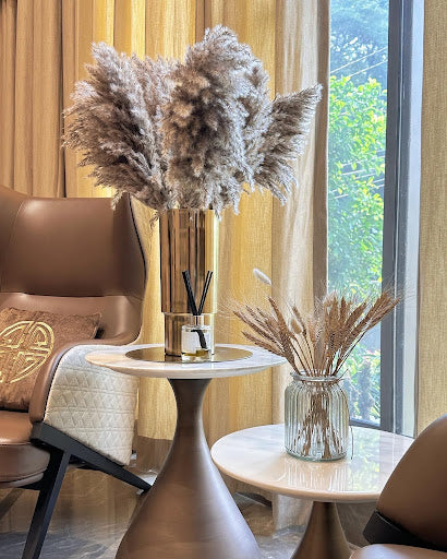 Where to Buy Premium Pampas Grass Online in India