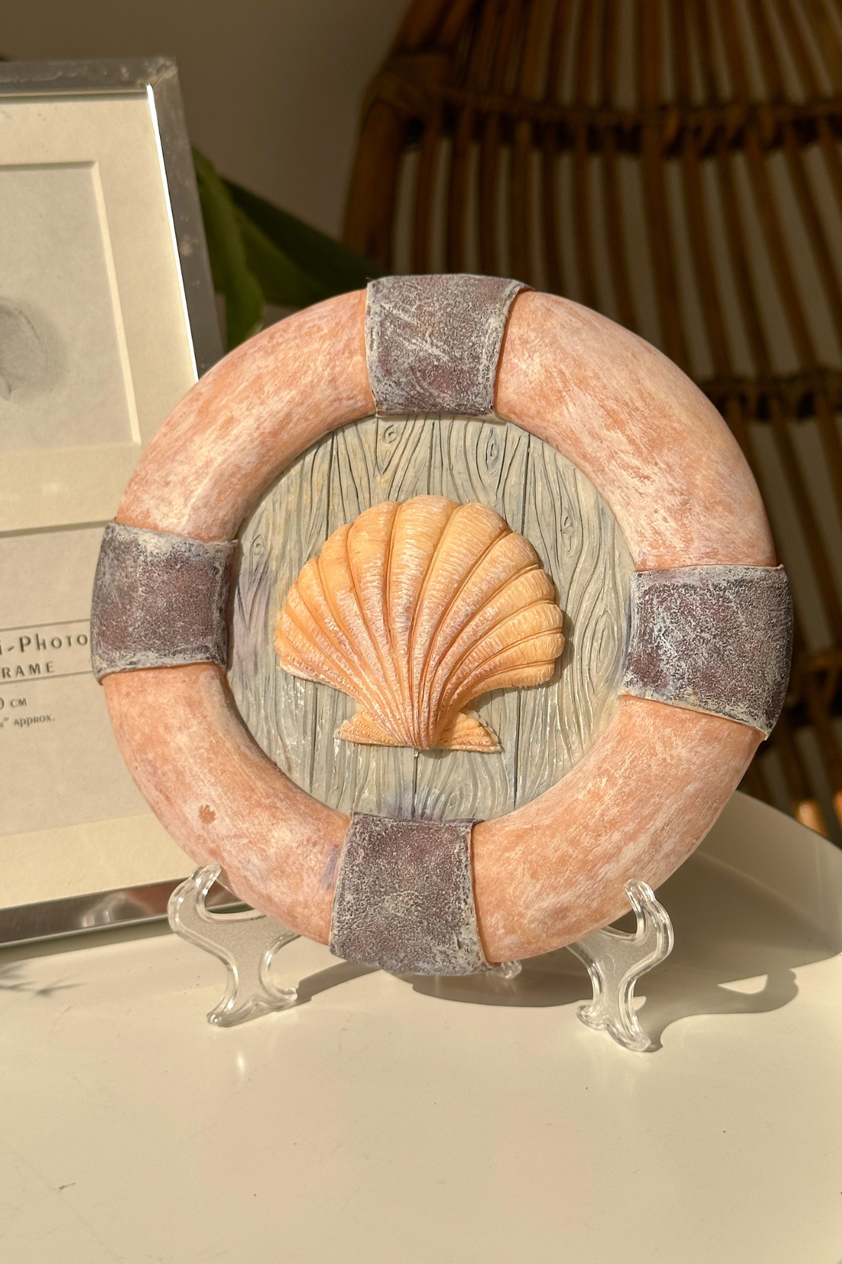 Sea shell wall plate