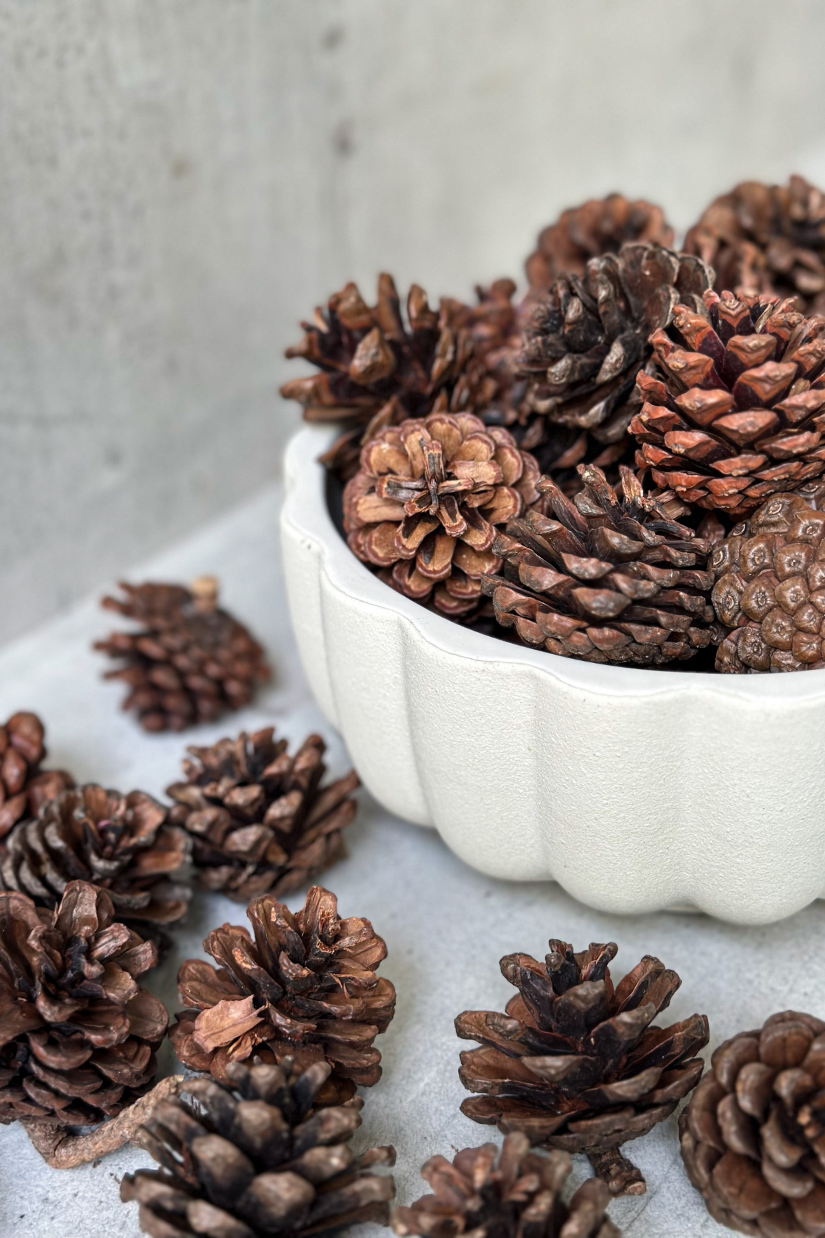 Pinecone Filler for Christmas Decor