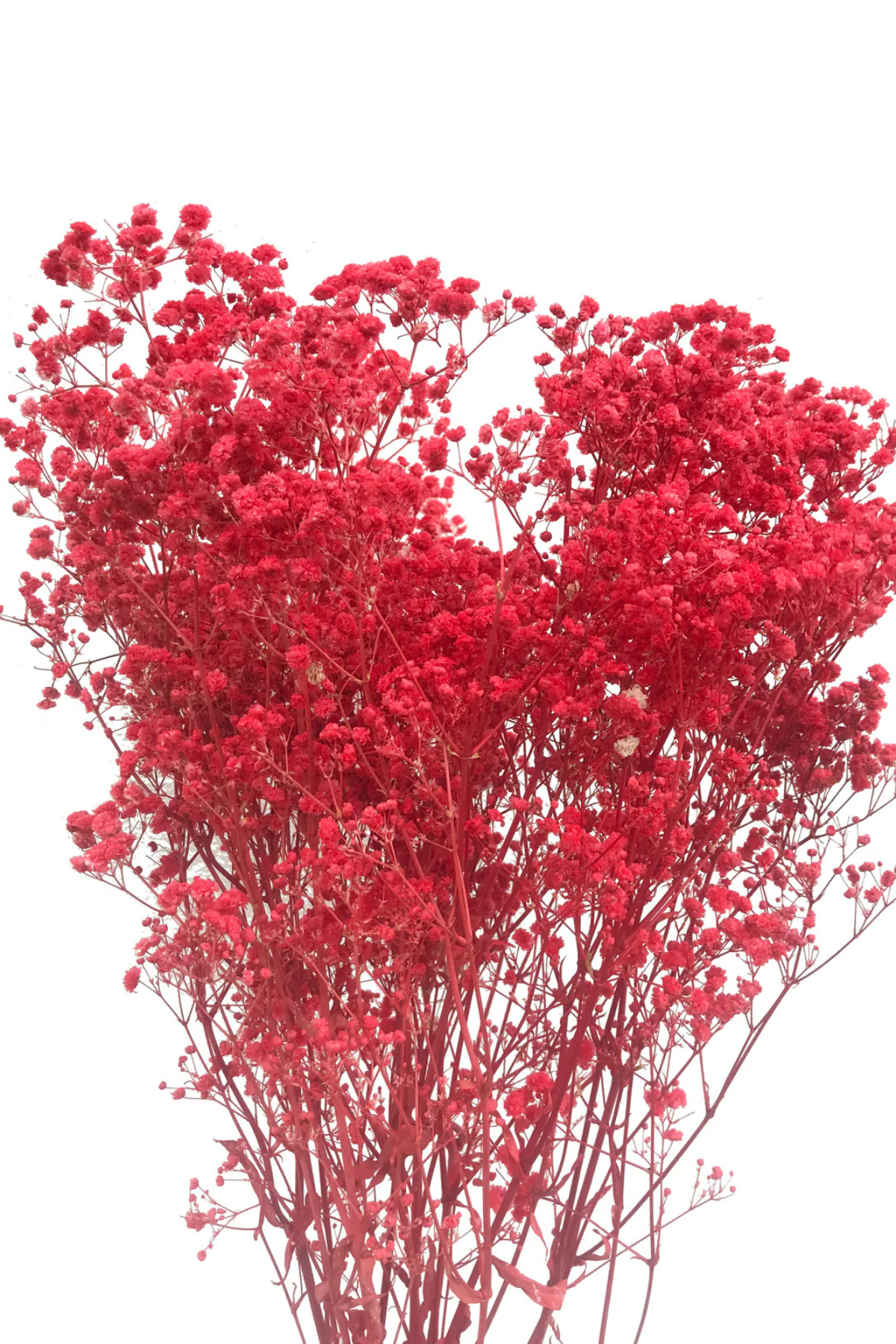 Red Baby's Breath Bunch