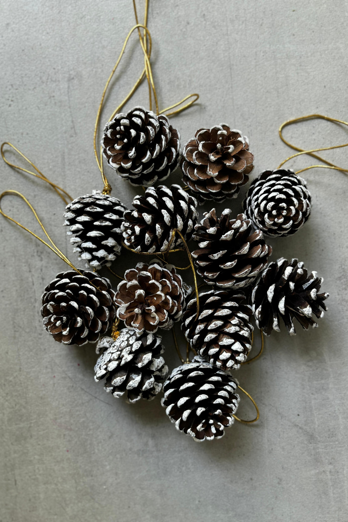 Pinecone Frosted Hanging for Christmas (set of 12)