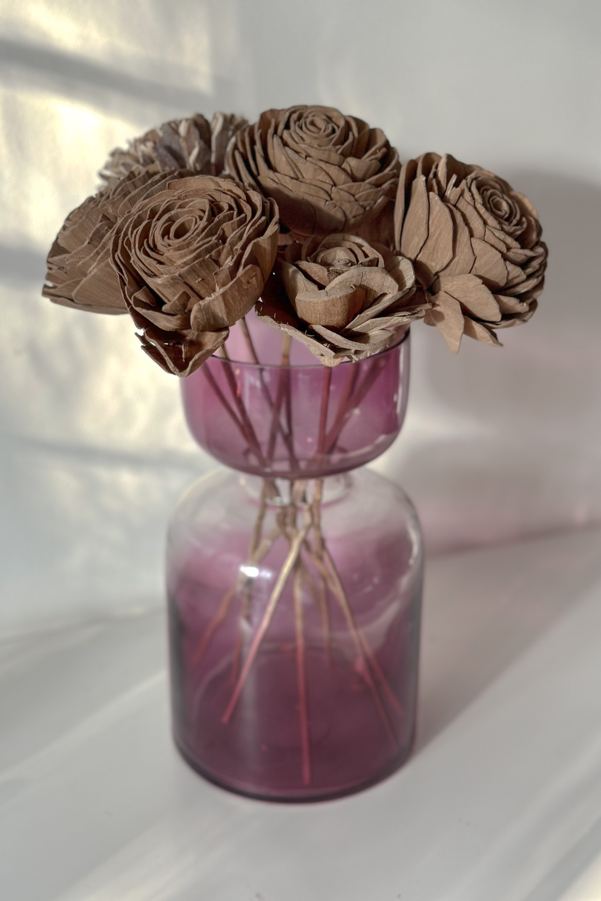Cocoa Kiss Sola Flower (set of 6)