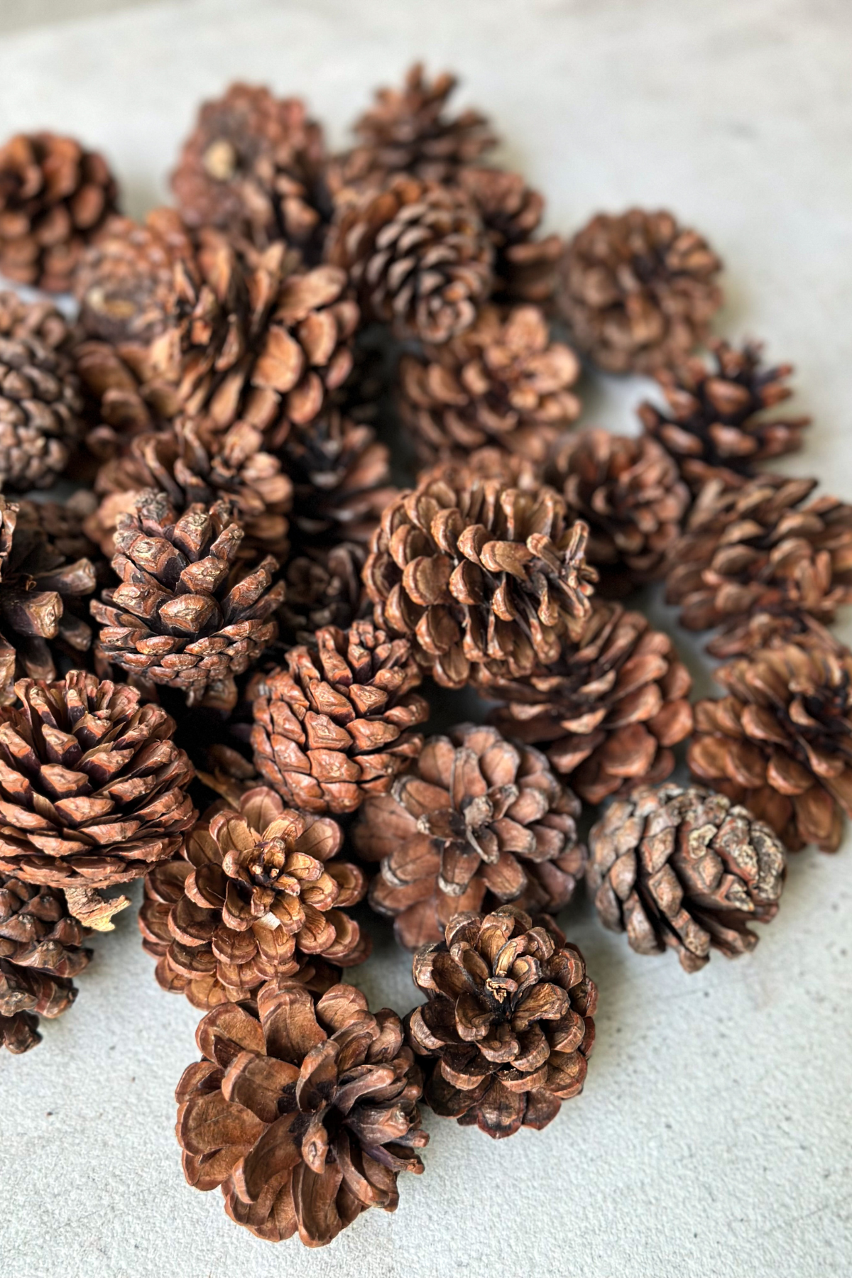 Pinecone Filler for Decor