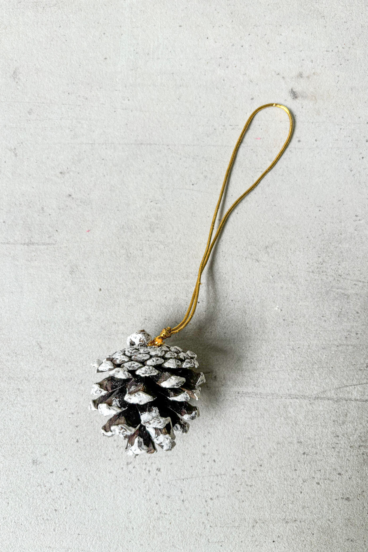 Pinecone Frosted Hanging for Christmas (set of 12)