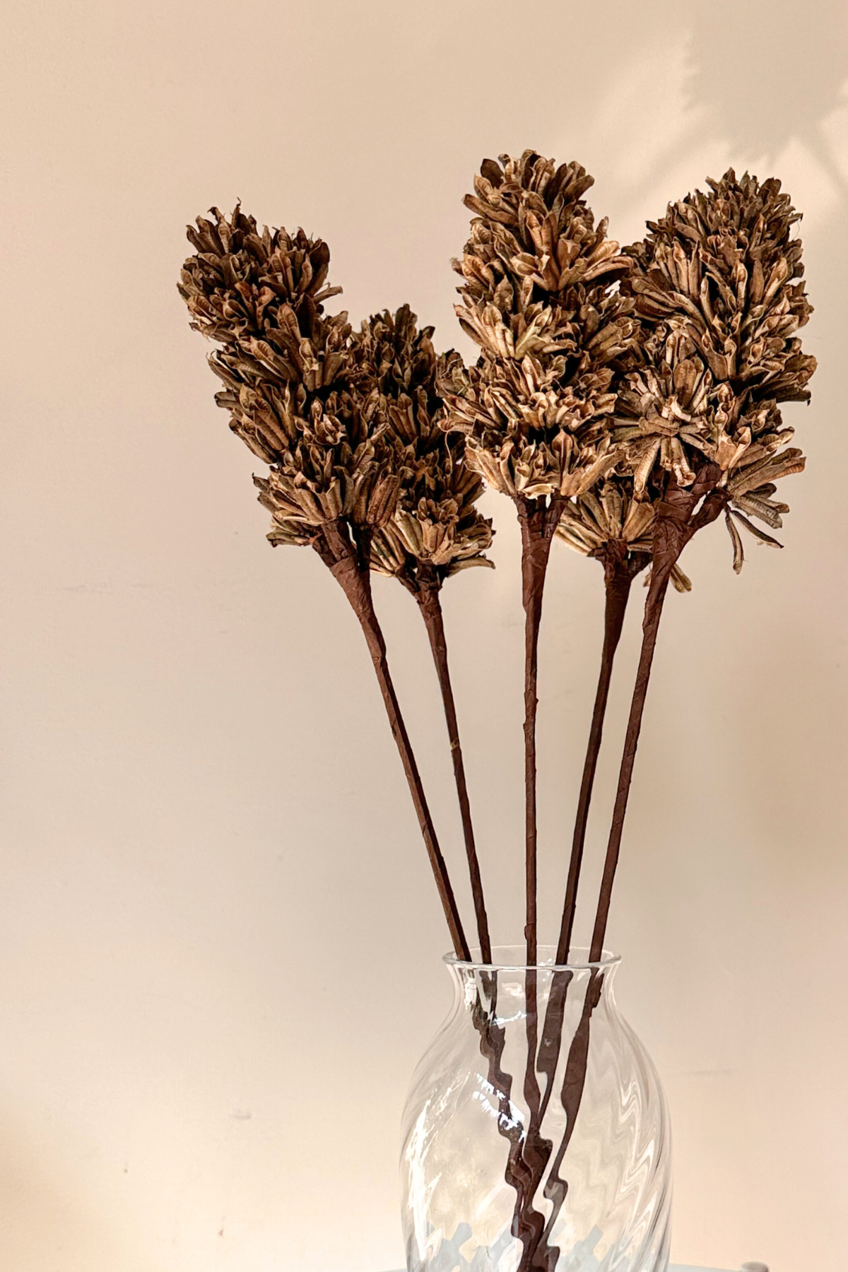 Natural Dried Flowers With Stems, For Decoration at Rs 120/kg in Kochi