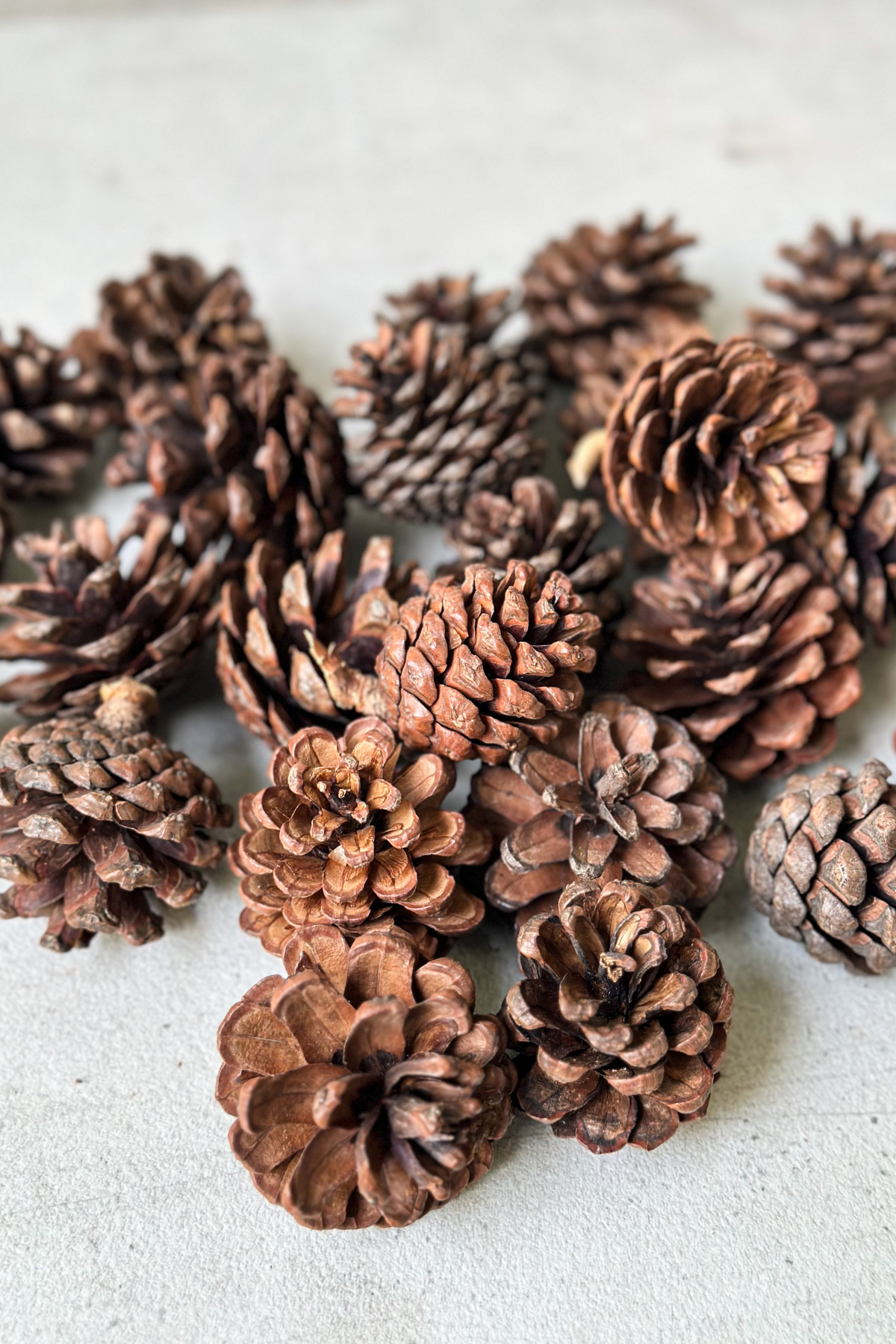 Pinecone Filler for Christmas Decor