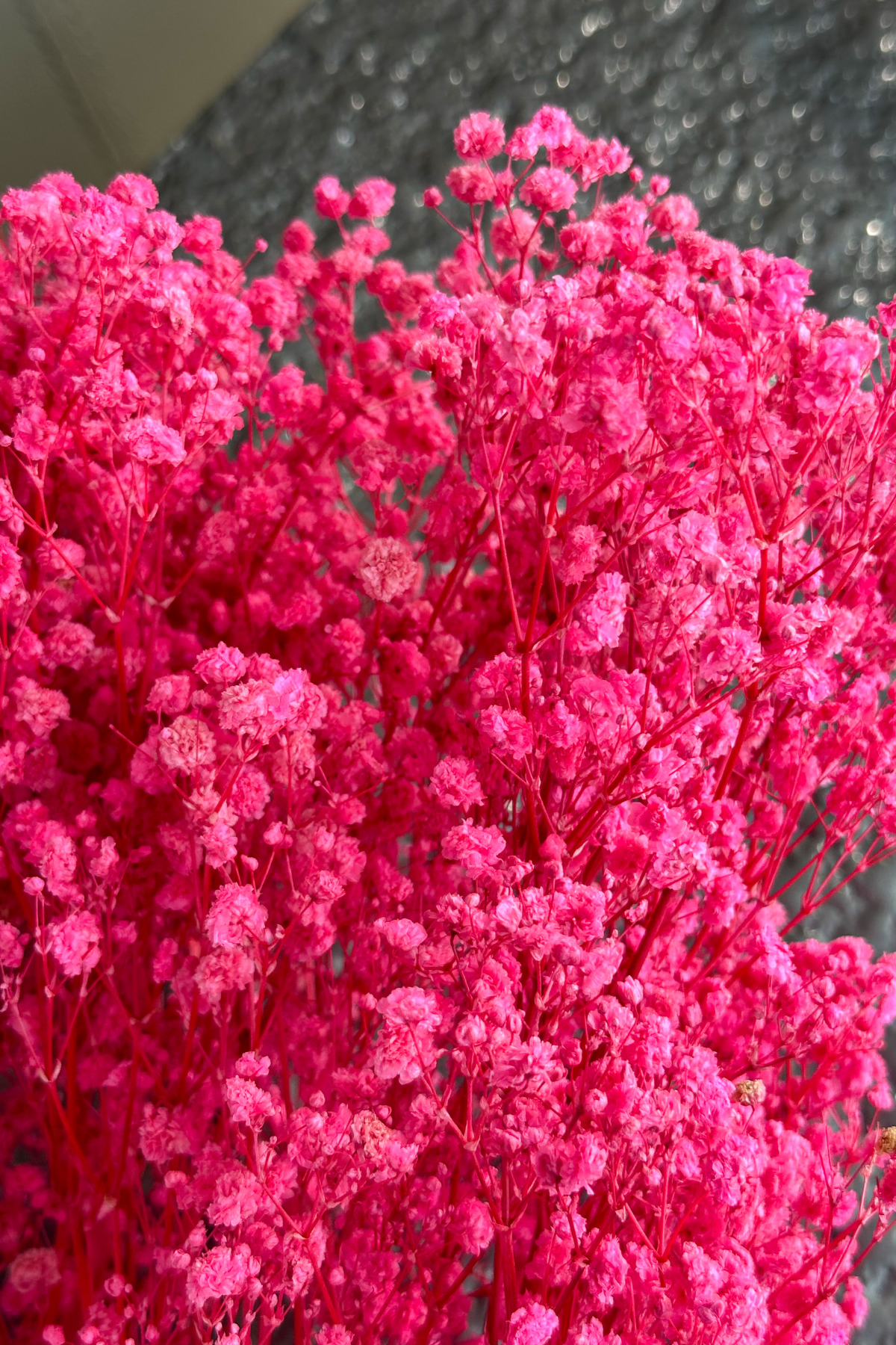 Pink Baby's Breath Bunch