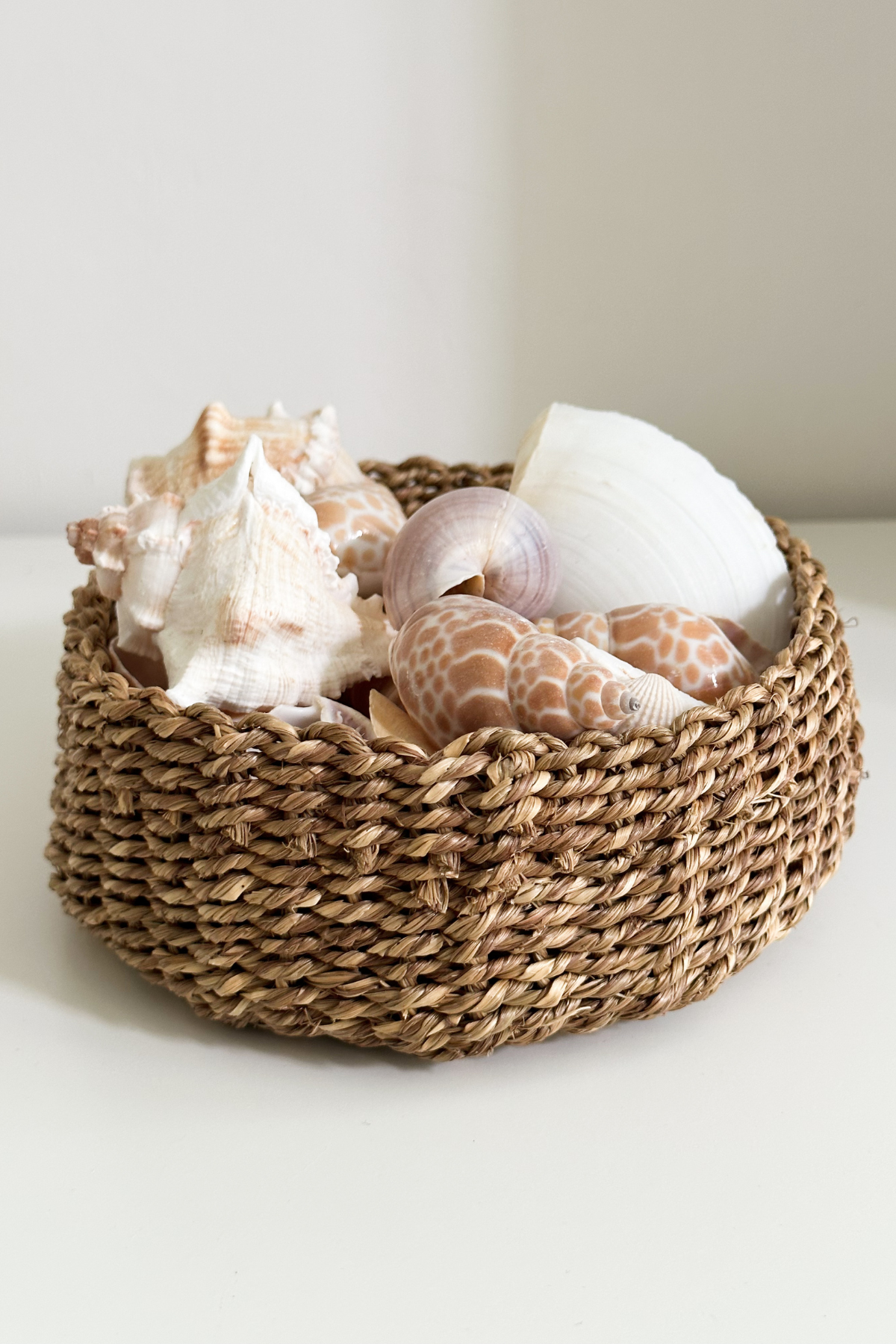 Seashell Bowl Filler and Basket Combo