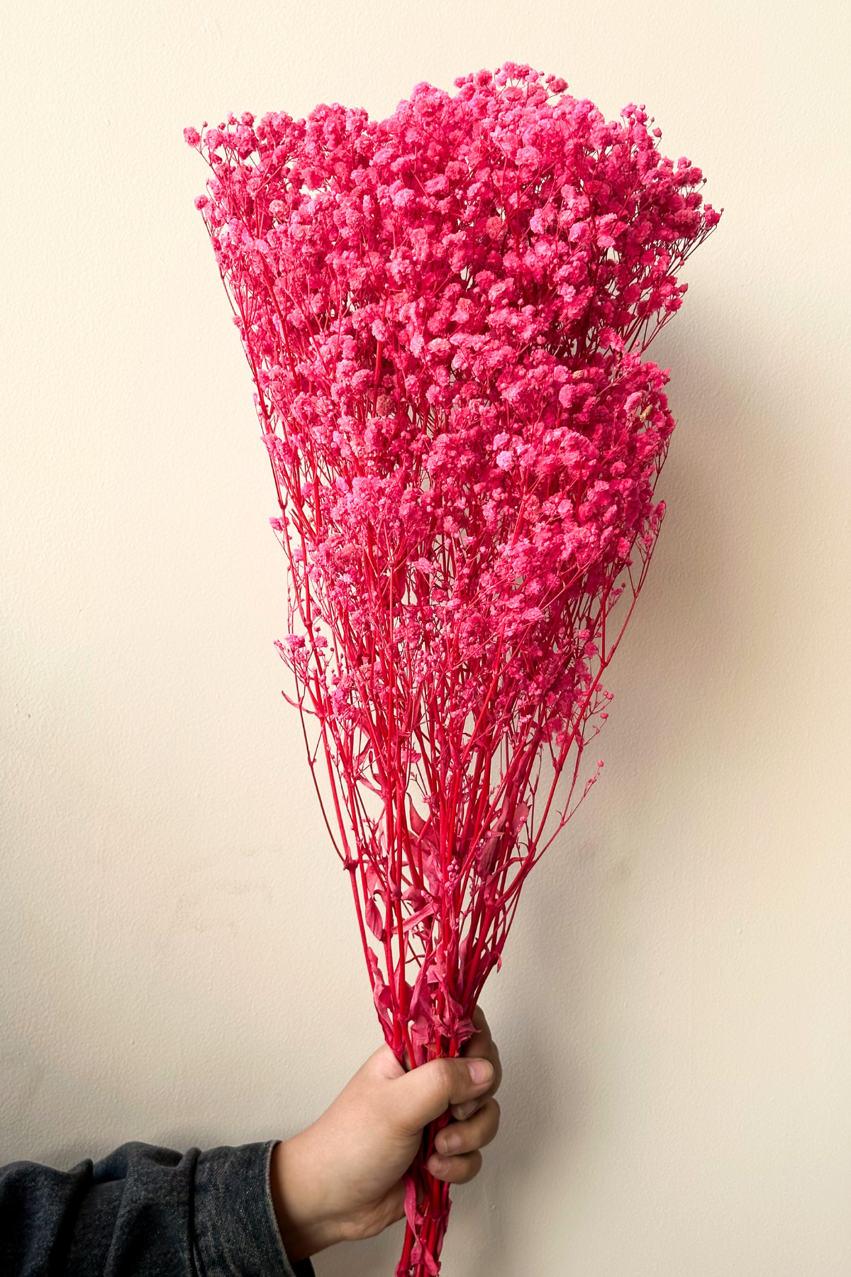 Pink Baby's Breath Bunch