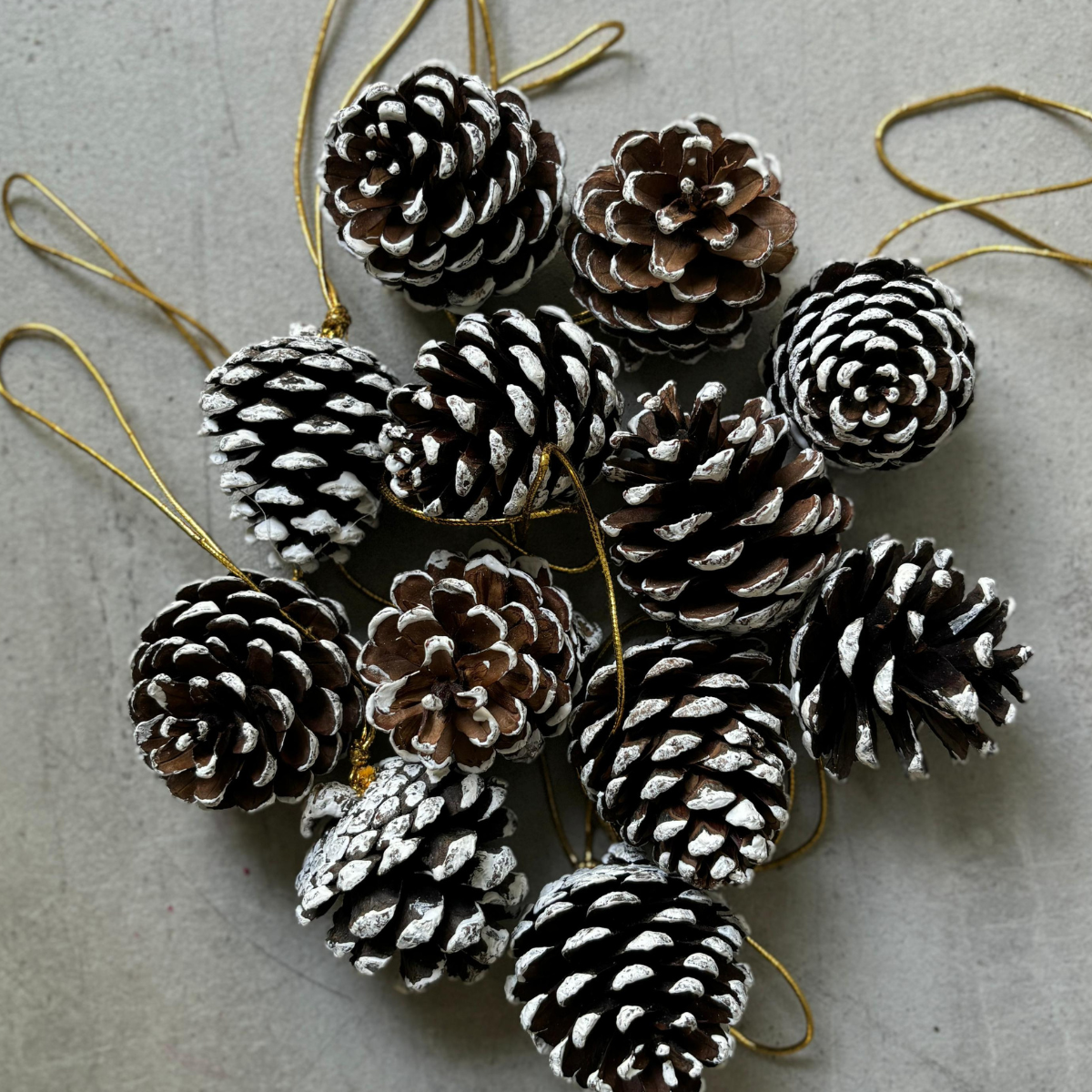  Pine Cone オーナメント Buy Pinecone Hanging Christmas Decor (Set of 12) Online