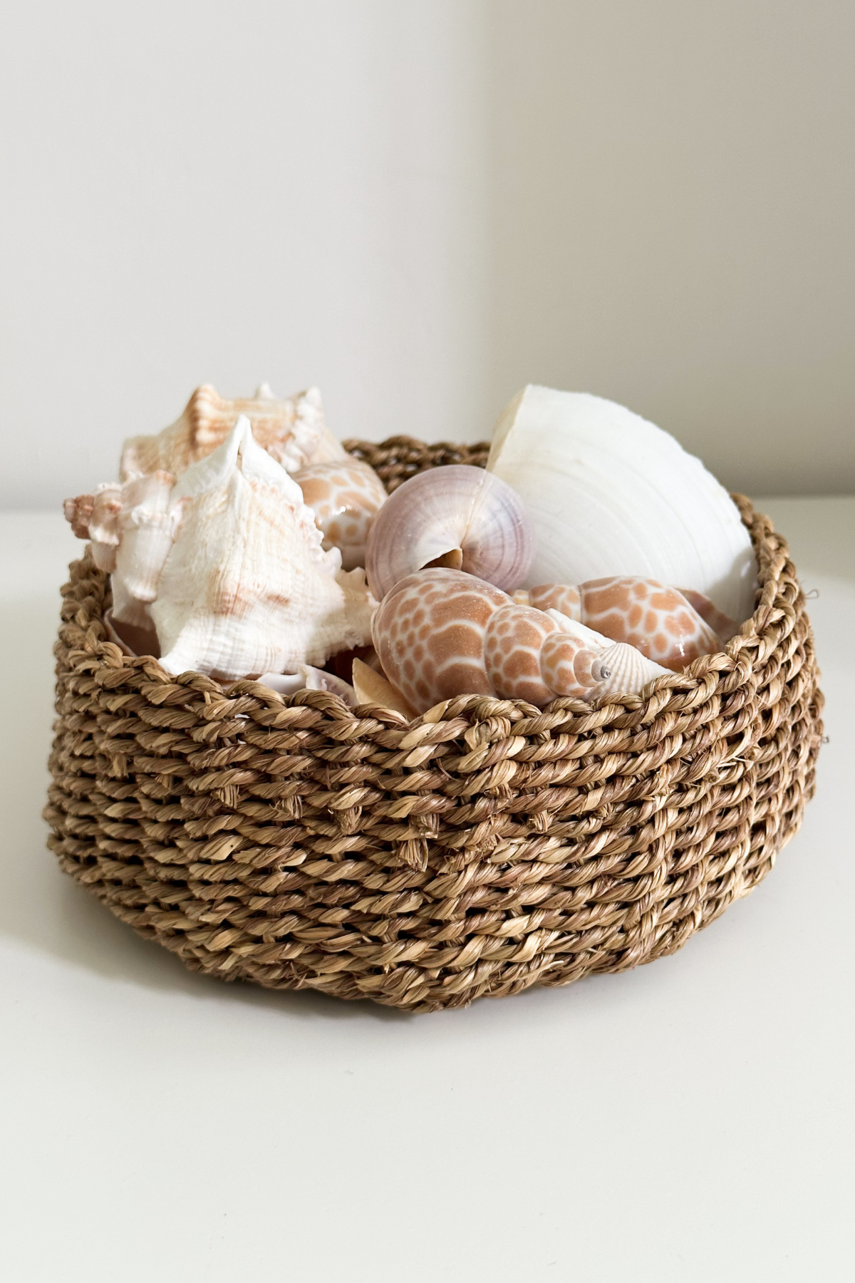 Vizy Rope Basket (set of 2)