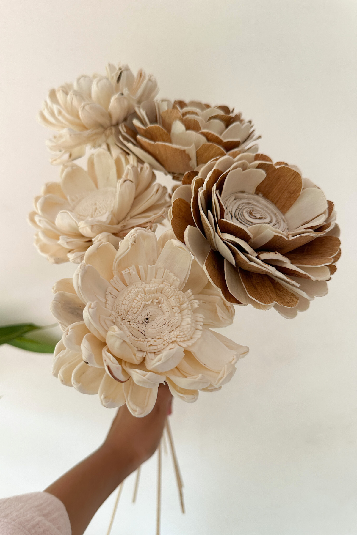 Shola flower Natural Mix (Large)