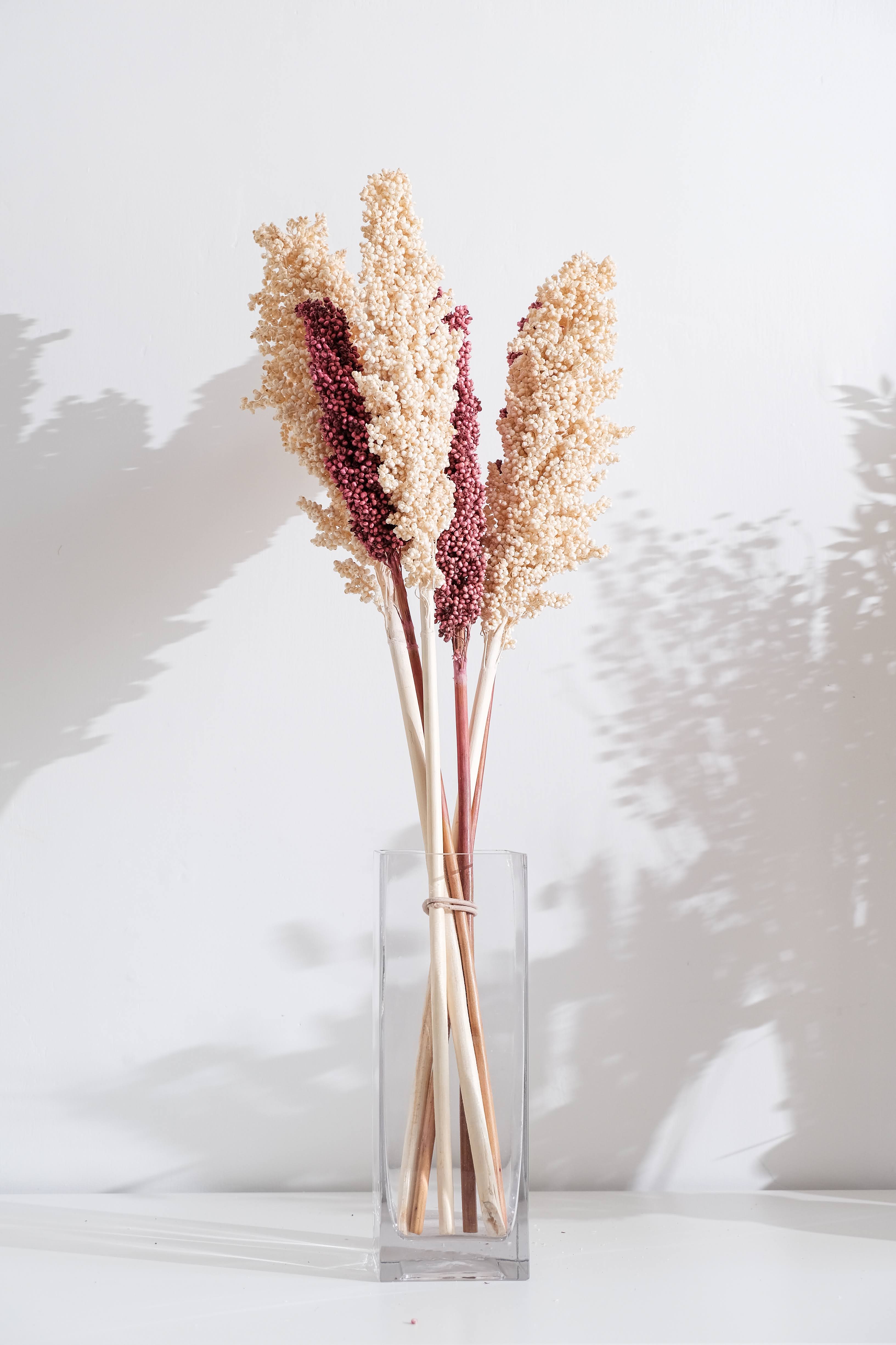 Blush pink & White corn stems (Set of 5)